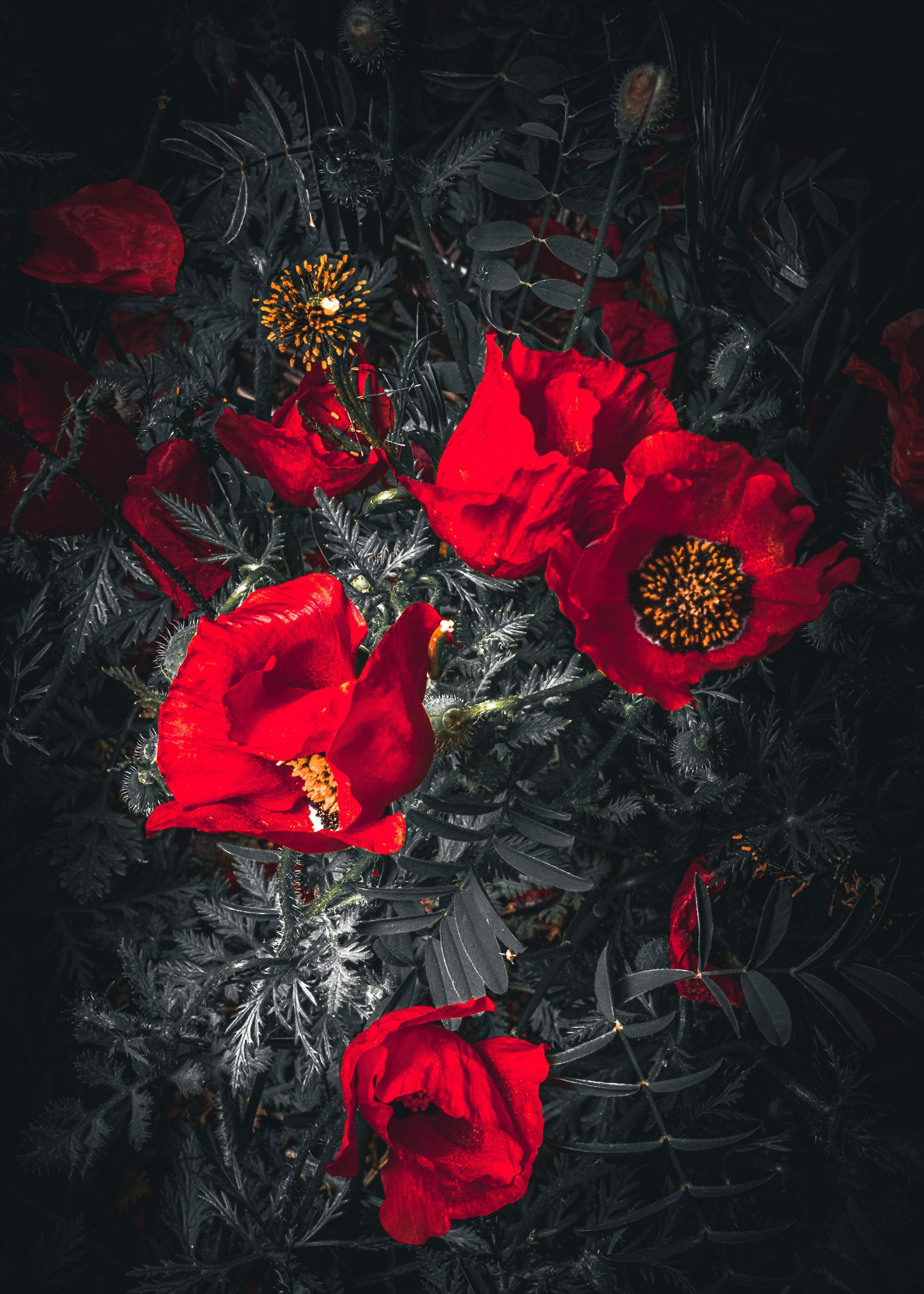 Картины о красоте, культурных ценностях и традициях Казахстана