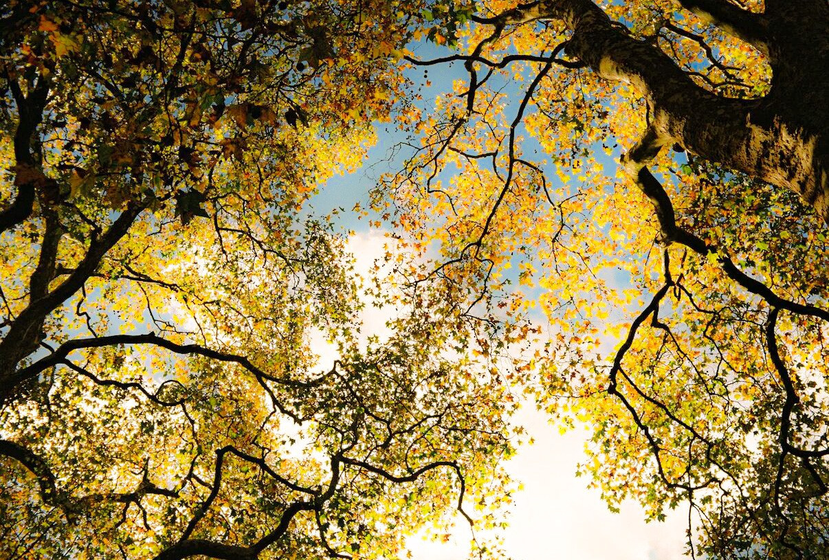 Художественная фотография. Фотохудожник Анна Забродина