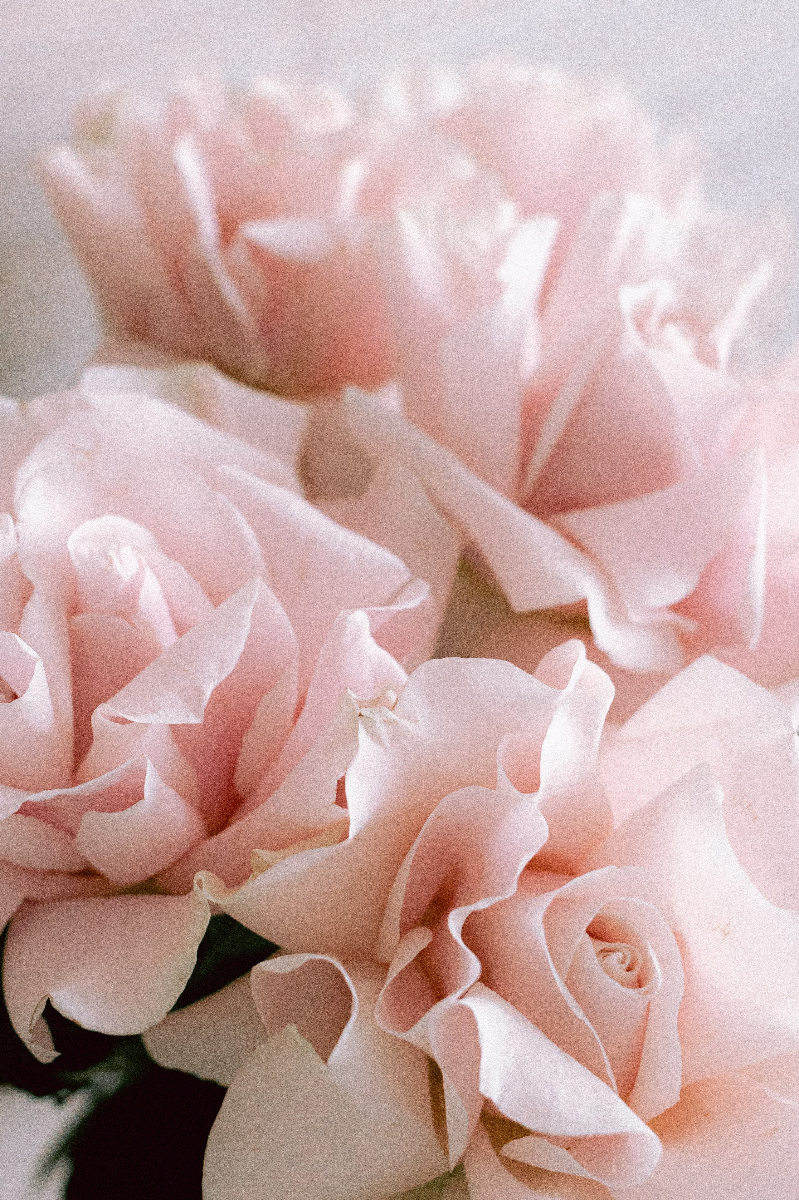 Портретный, семейный и репортажный фотограф в Ставрополе Ульяна Доценко