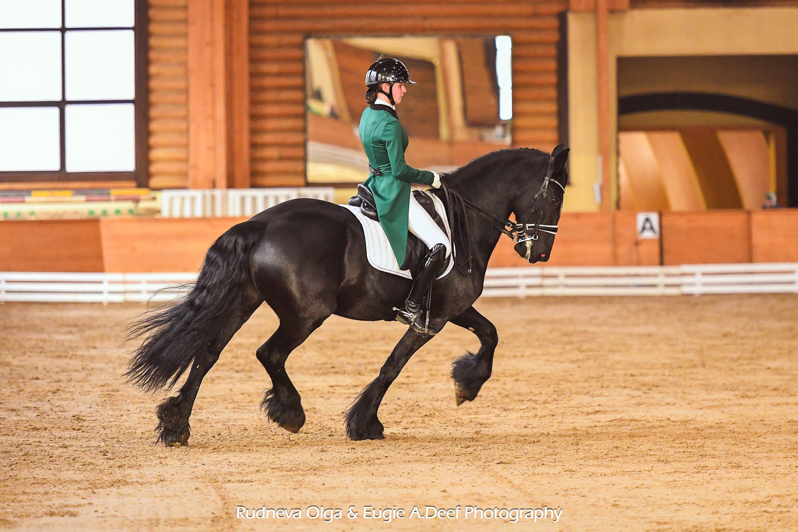 2025.02.15 Кубок КСК Пегас по выездке. ТУРНИРНАЯ КОННАЯ ФОТОГРАФИЯ, Руднева Ольга и Евгений Адеев