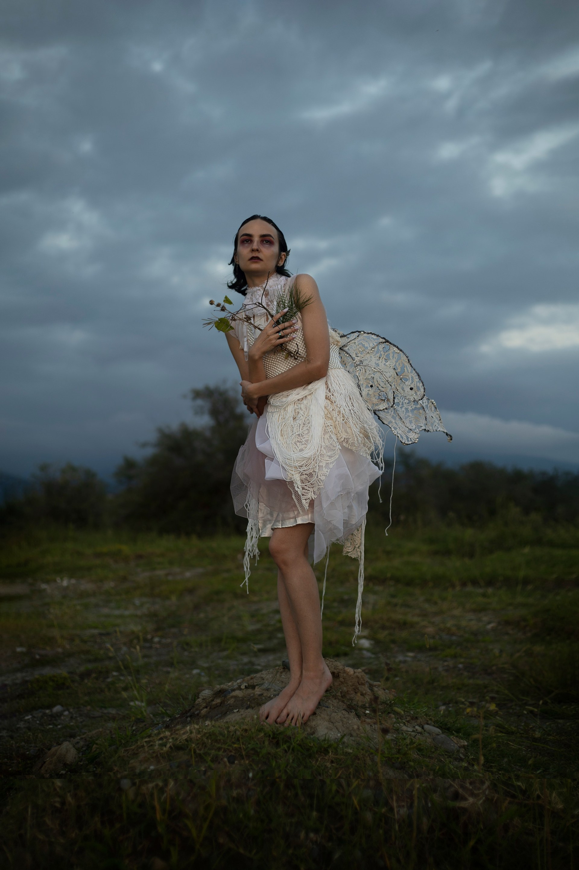 Butterfly. Art photographer Tatiana Serbina