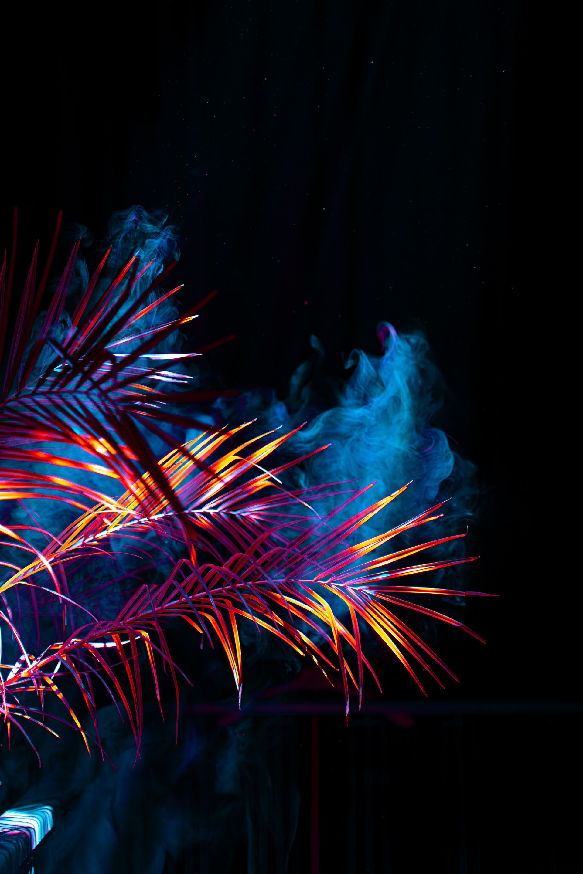 Фотограф TAULAN_1