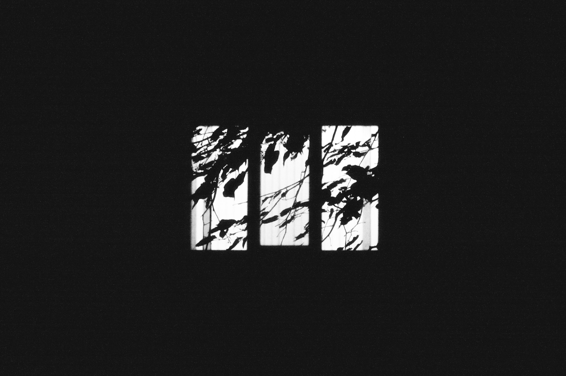 Одиночные снимки