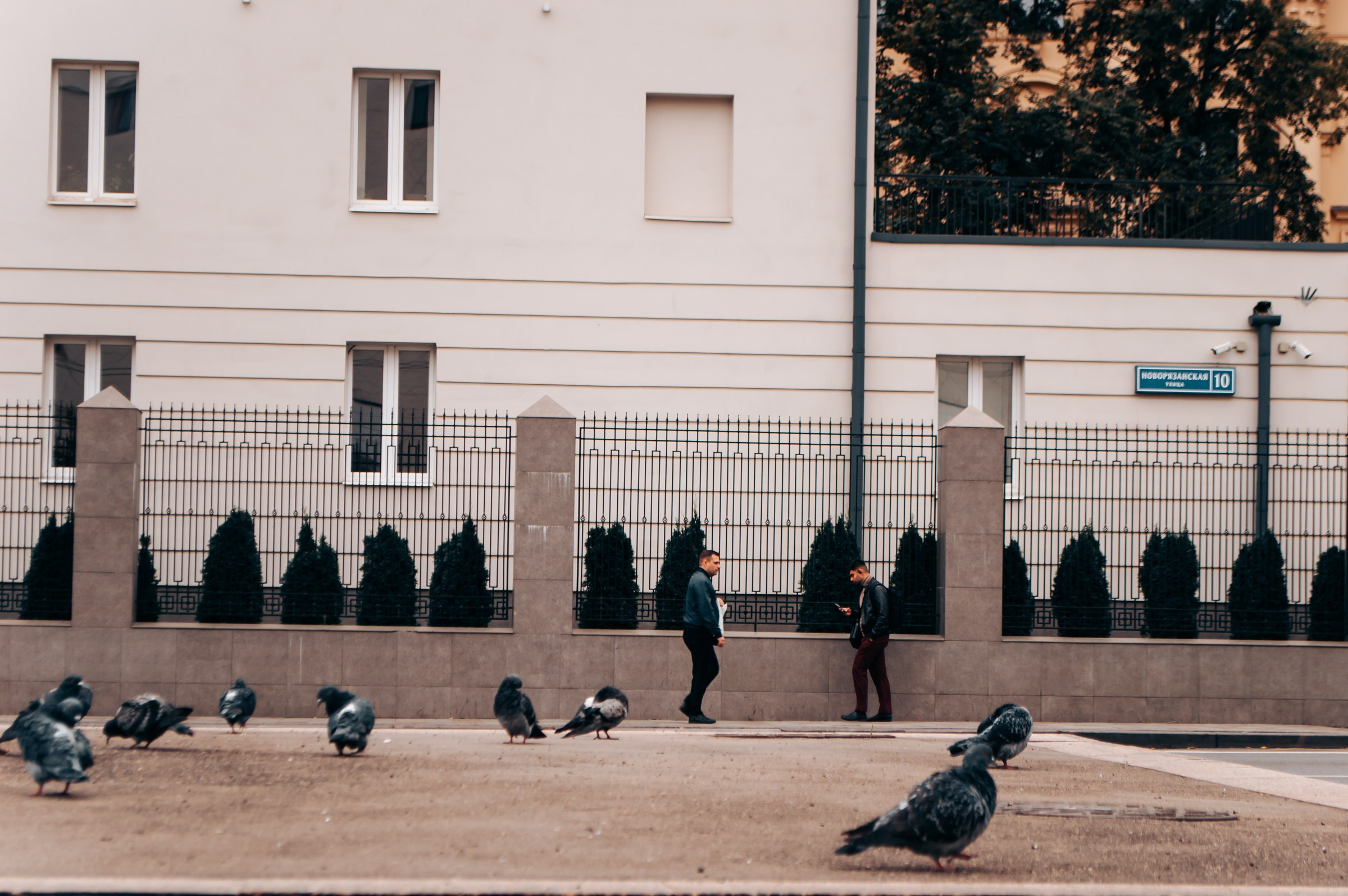 Одиночные снимки