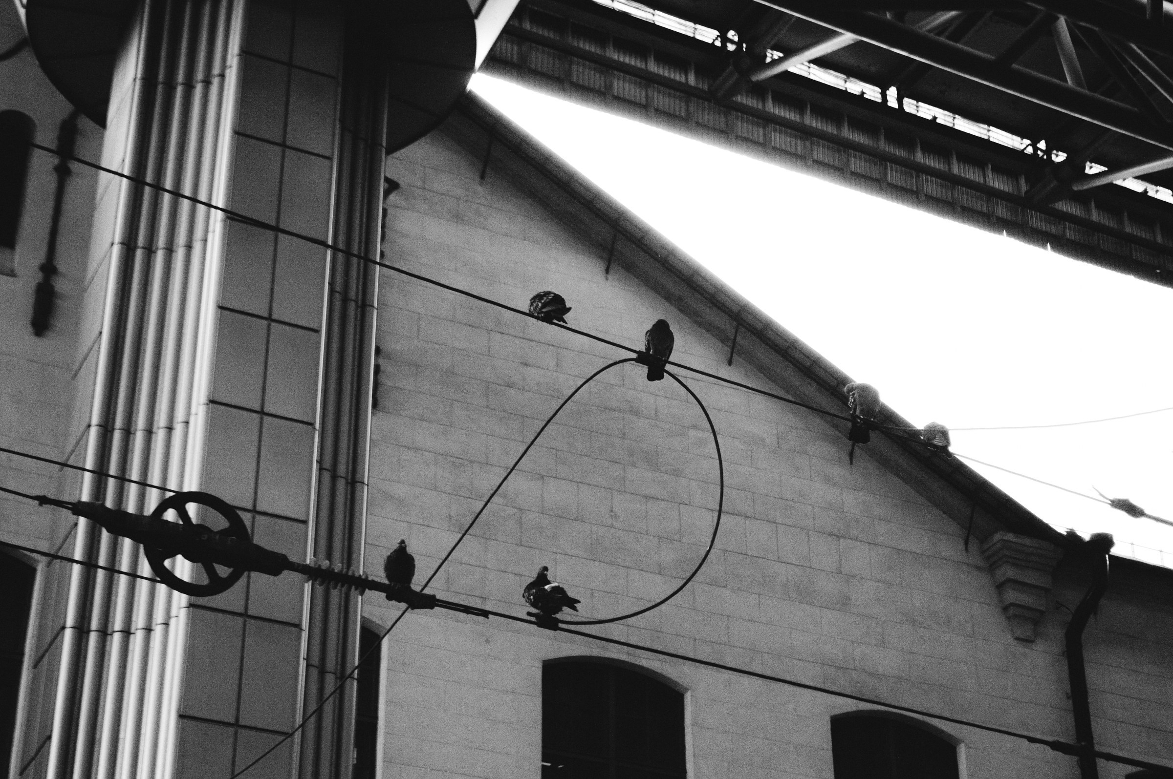 Одиночные снимки