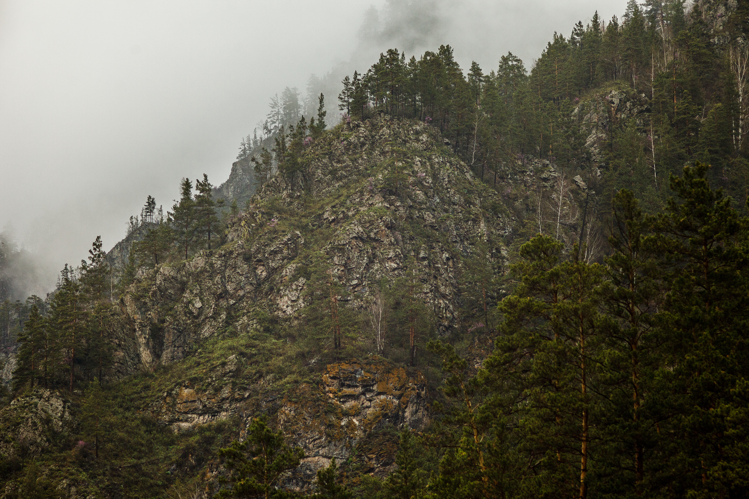 Это Алтай. Евгения Орлова