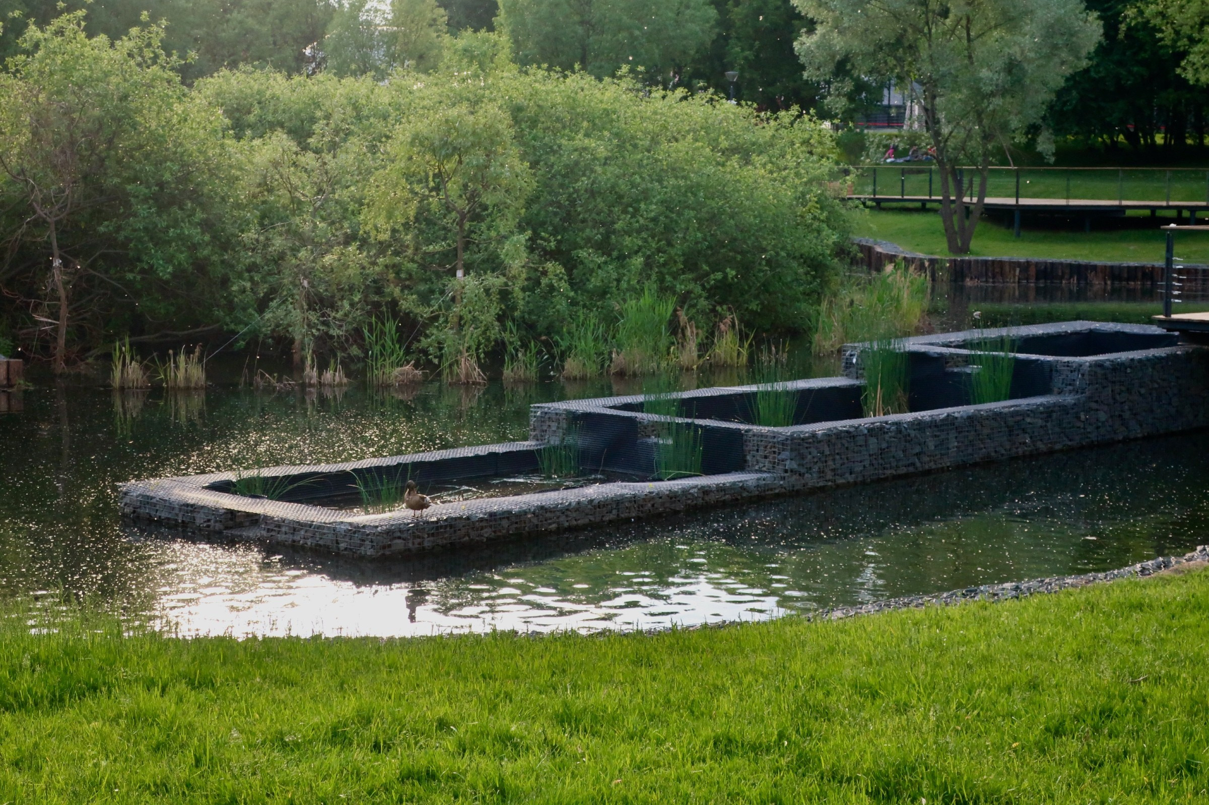 Парки Яуза, Свиблово и Свибловские пруды. Проект «Фотокладовка»: блог уличной фотографии в формате street photo