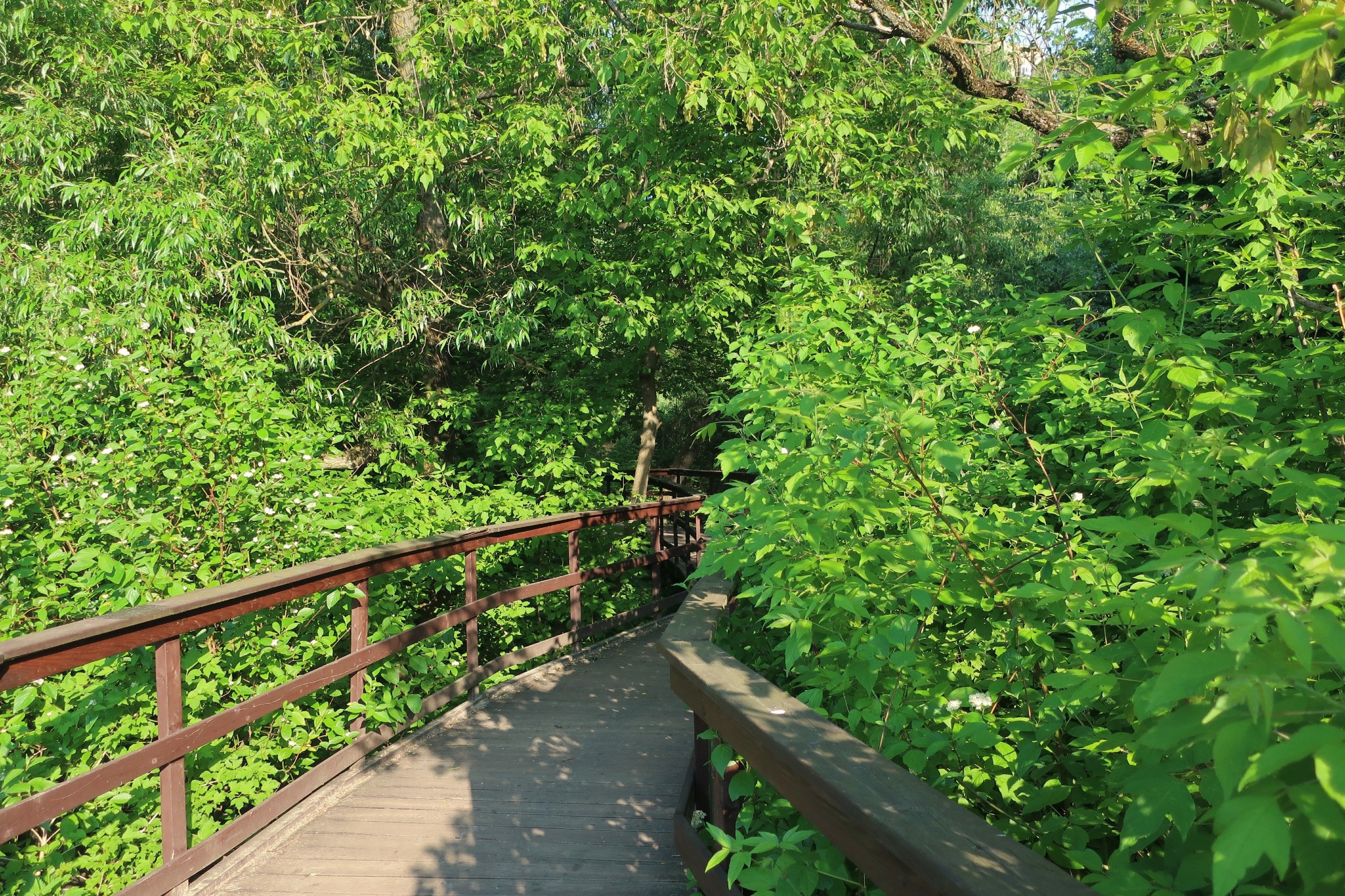 Парки Яуза, Свиблово и Свибловские пруды. Проект «Фотокладовка»: блог уличной фотографии в формате street photo