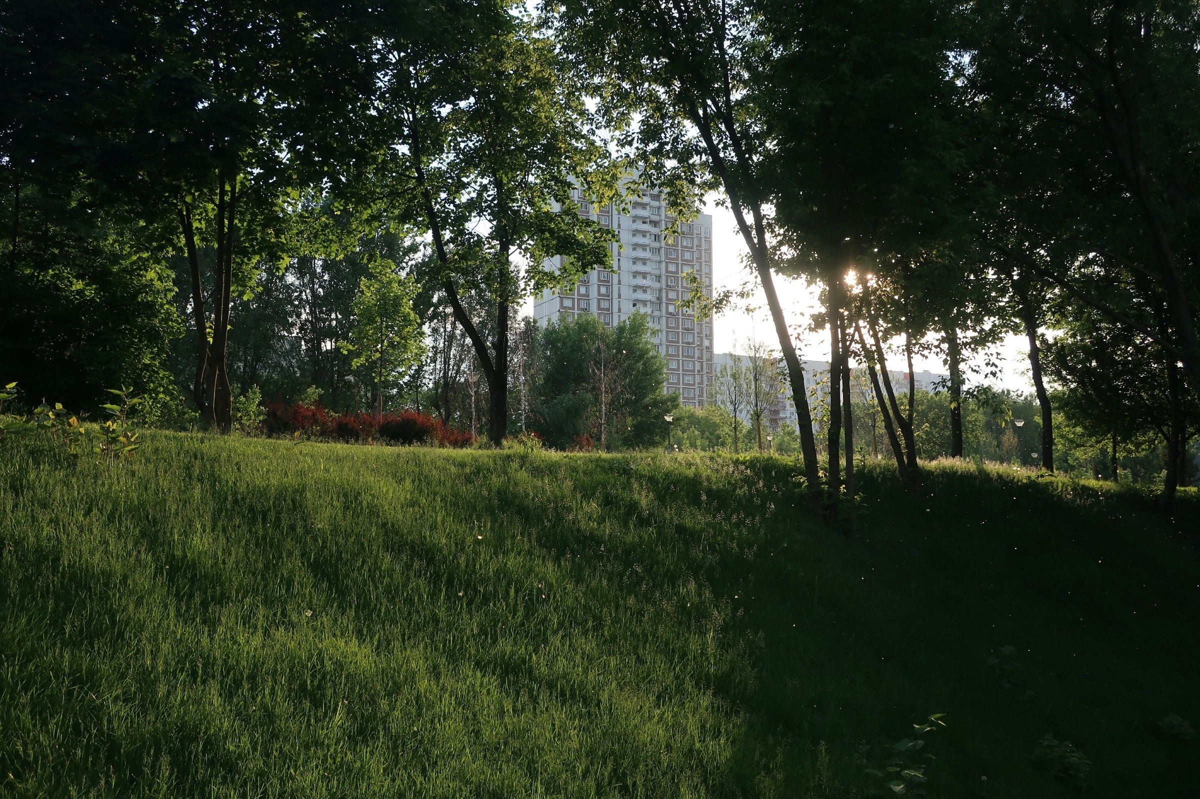 Парки Яуза, Свиблово и Свибловские пруды. Проект «Фотокладовка»: блог уличной фотографии в формате street photo