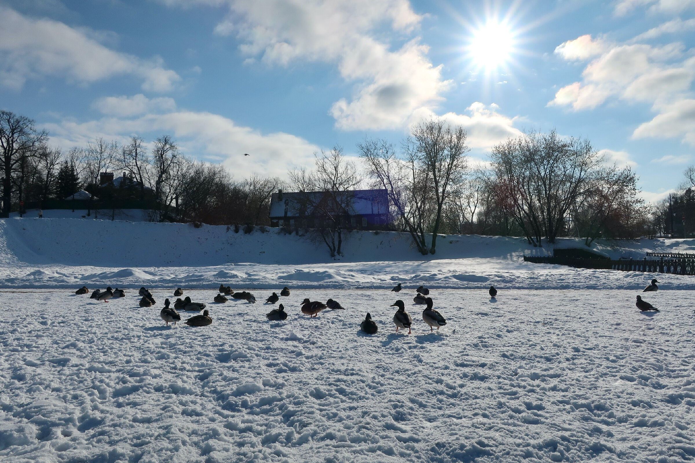 Фотопрогулка по г. Сергиев Посад: Блинная гора, Русский Дворик, Лавра. Проект «Фотокладовка»: блог уличной фотографии в формате street photo