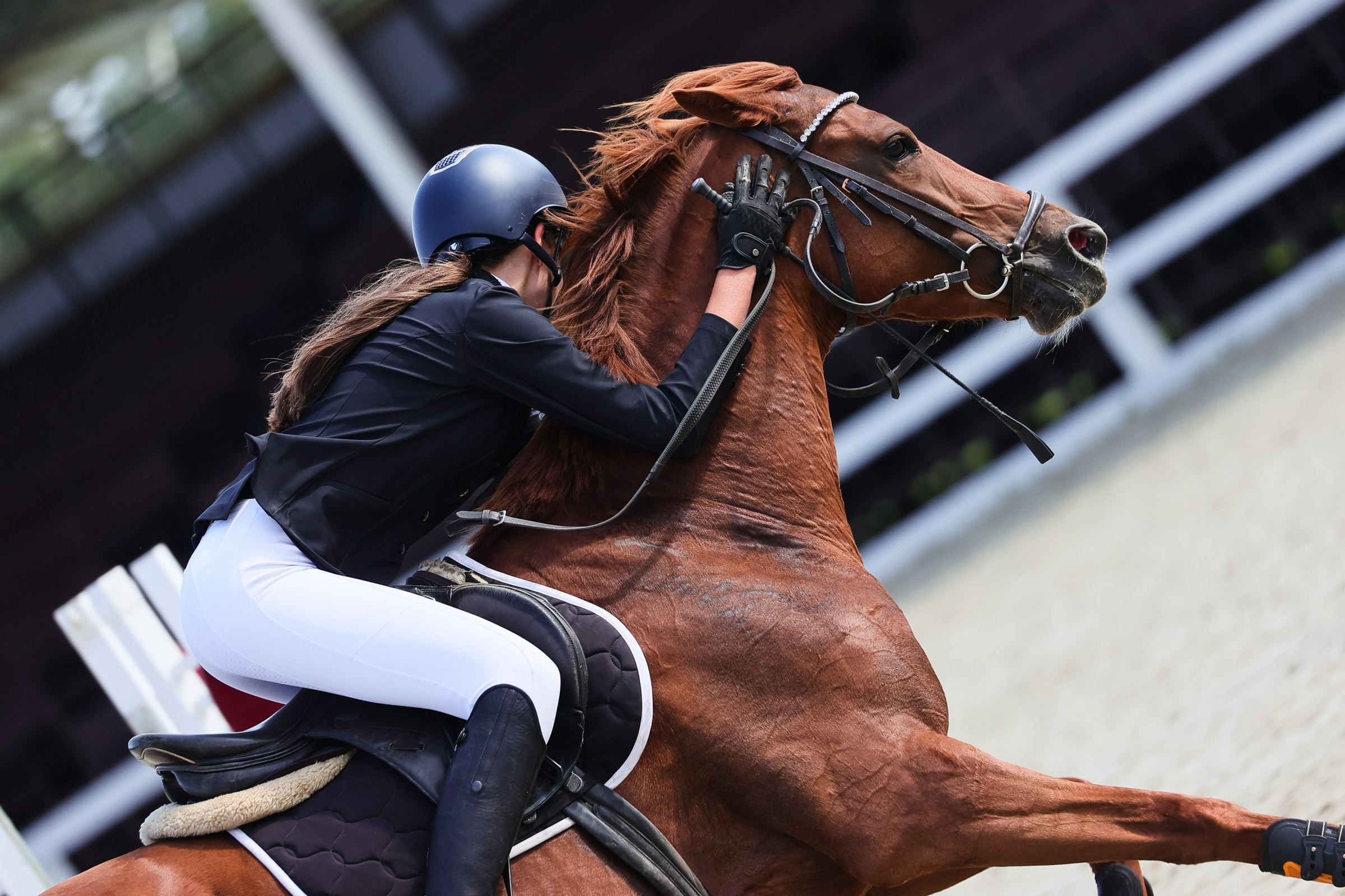 Купить фотографии с турниров. KatymartArt — Equine photography