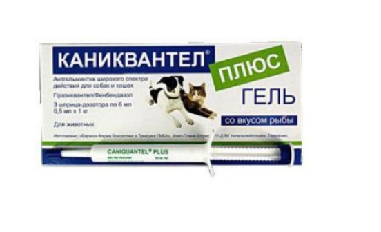 Рекомендации в ухаживании за щенком!. Питомник Йоркширских терьеров Дэнстайл в Санкт-Петербурге заводчик Тих