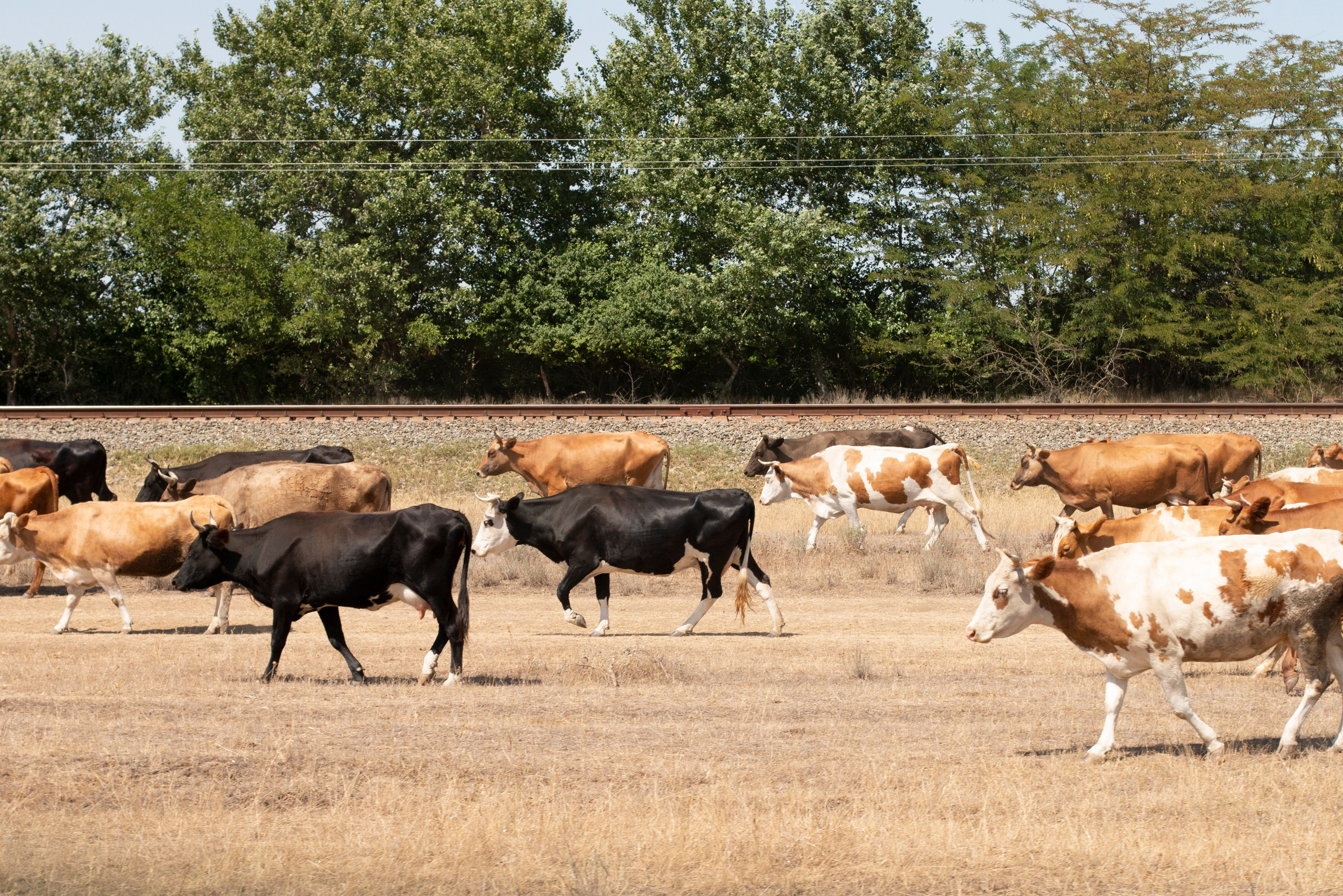Замечаю жизнь. 2022. Фотограф Злата Спицына