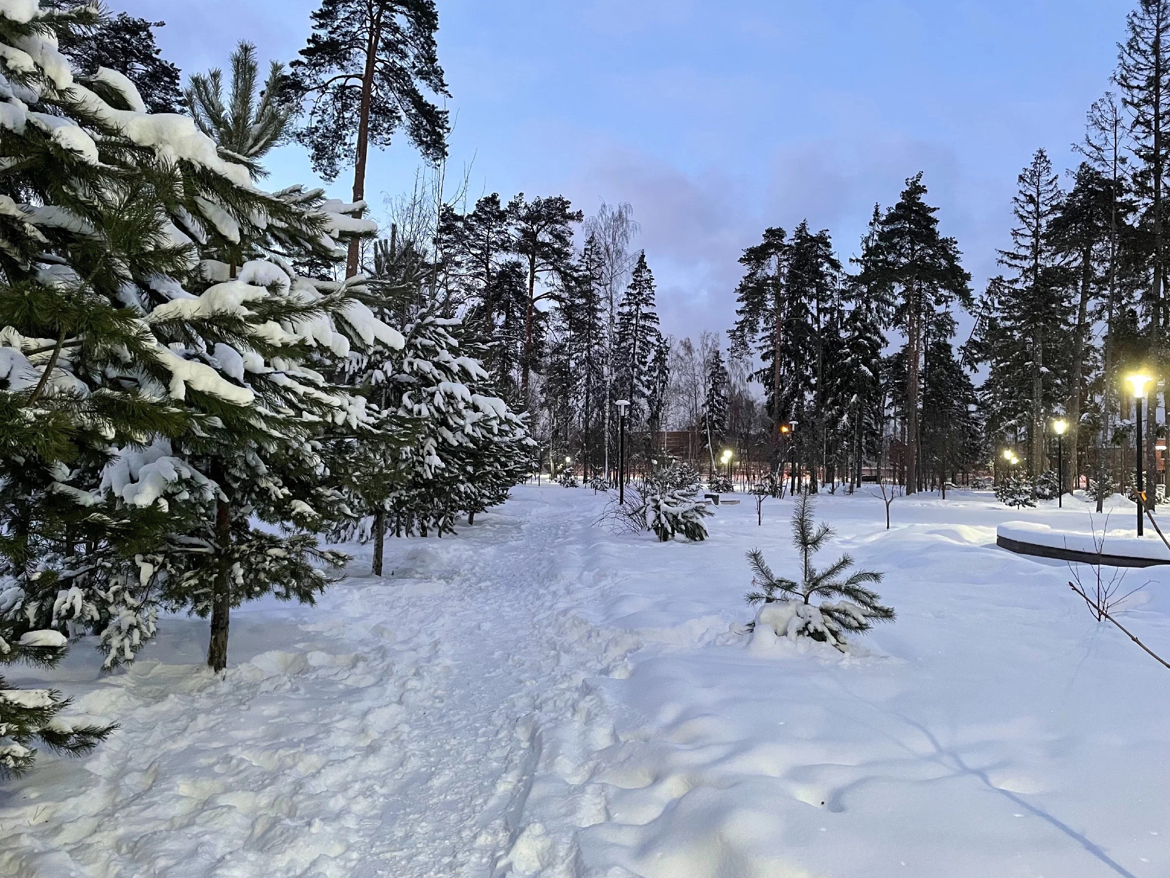 Зима в Пестовском парке Подмосковья: горки, горки и ёлки. Проект «Фотокладовка»: блог уличной фотографии в формате street photo