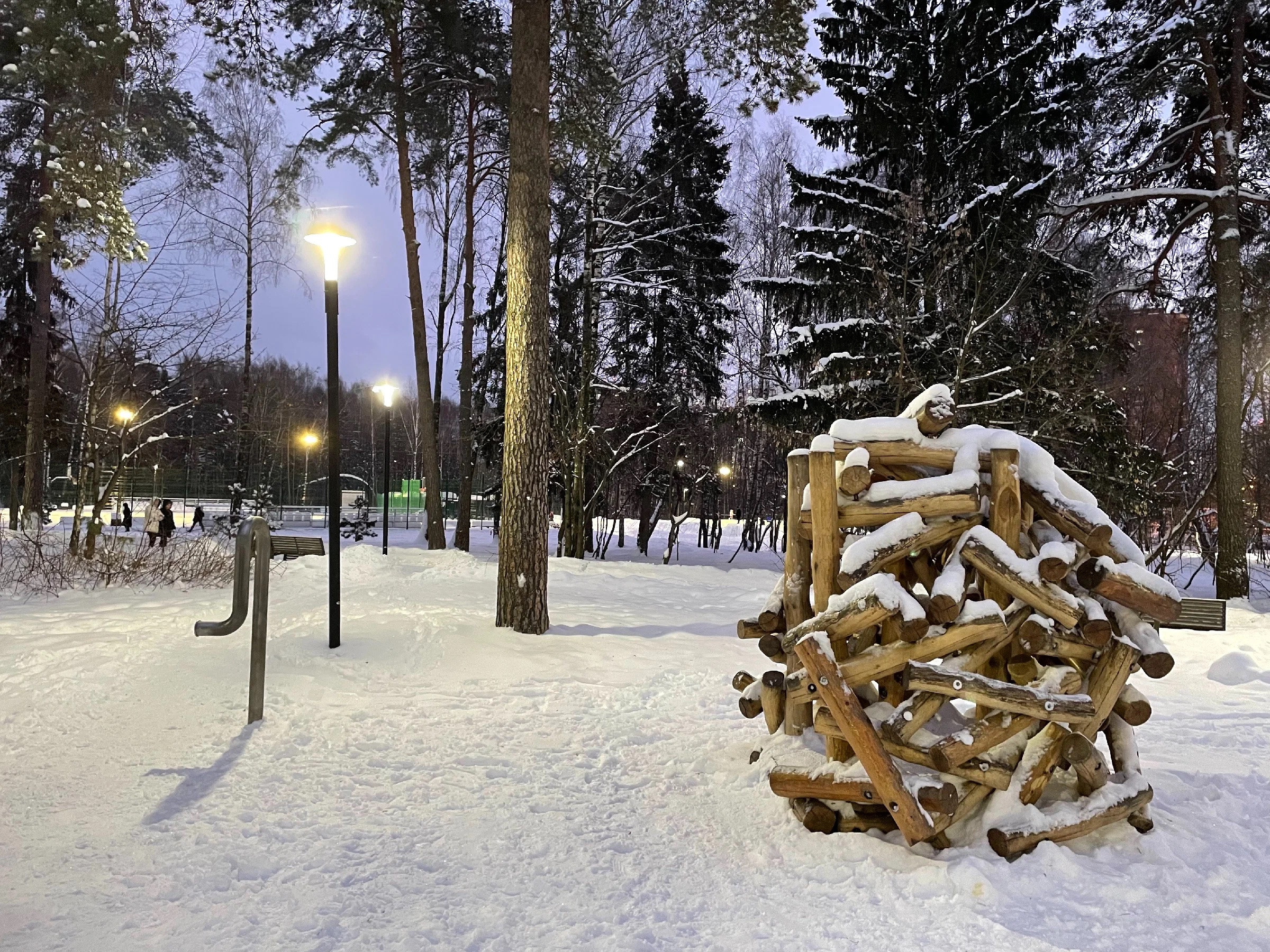Зима в Пестовском парке Подмосковья: горки, горки и ёлки. Проект «Фотокладовка»: блог уличной фотографии в формате street photo