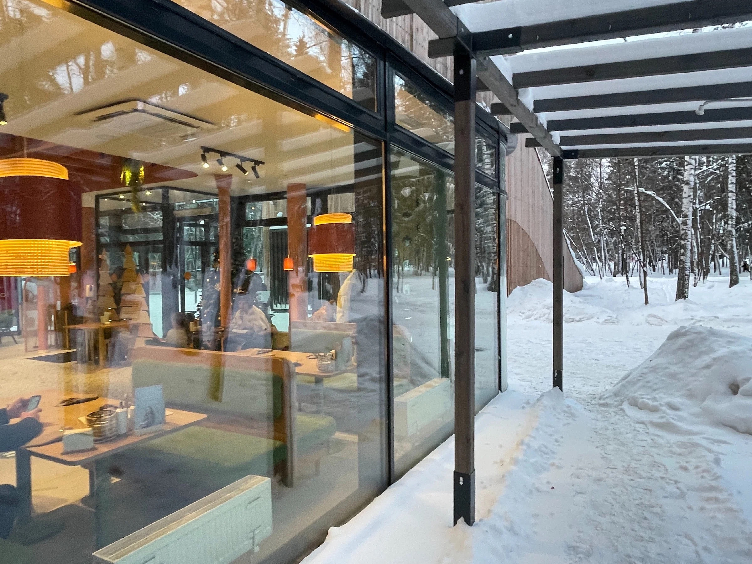 Зима в Пестовском парке Подмосковья: горки, горки и ёлки. Проект «Фотокладовка»: блог уличной фотографии в формате street photo