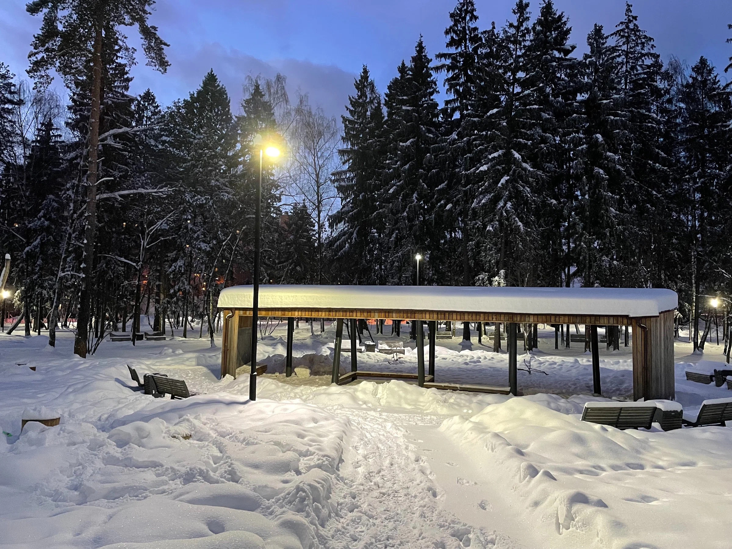 Зима в Пестовском парке Подмосковья: горки, горки и ёлки. Проект «Фотокладовка»: блог уличной фотографии в формате street photo