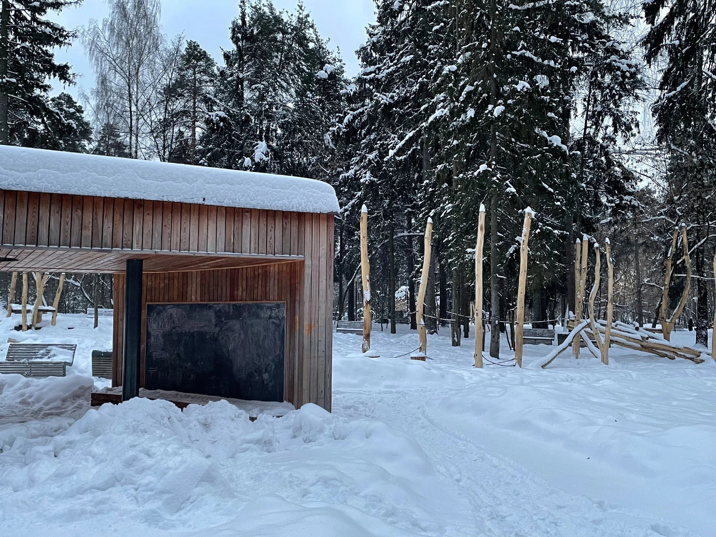 Зима в Пестовском парке Подмосковья: горки, горки и ёлки. Проект «Фотокладовка»: блог уличной фотографии в формате street photo