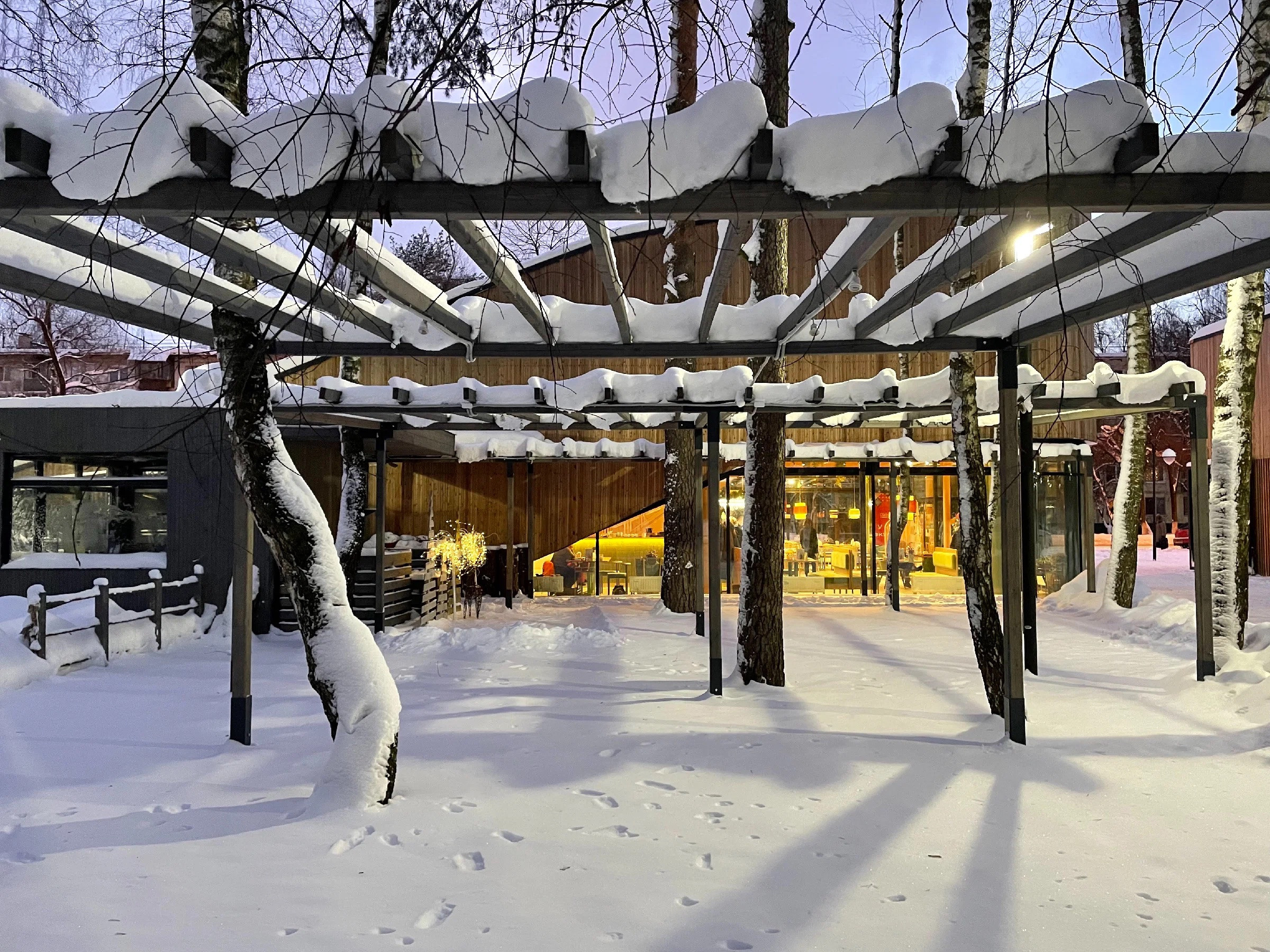 Зима в Пестовском парке Подмосковья: горки, горки и ёлки. Проект «Фотокладовка»: блог уличной фотографии в формате street photo