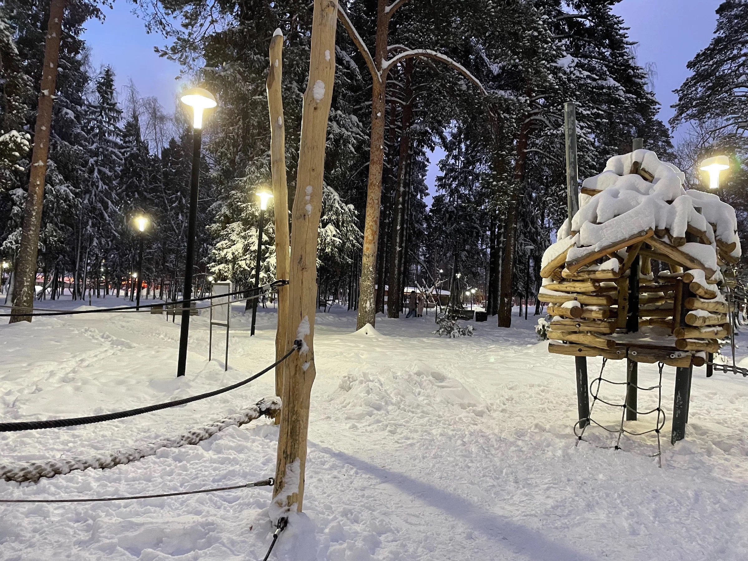 Зима в Пестовском парке Подмосковья: горки, горки и ёлки. Проект «Фотокладовка»: блог уличной фотографии в формате street photo