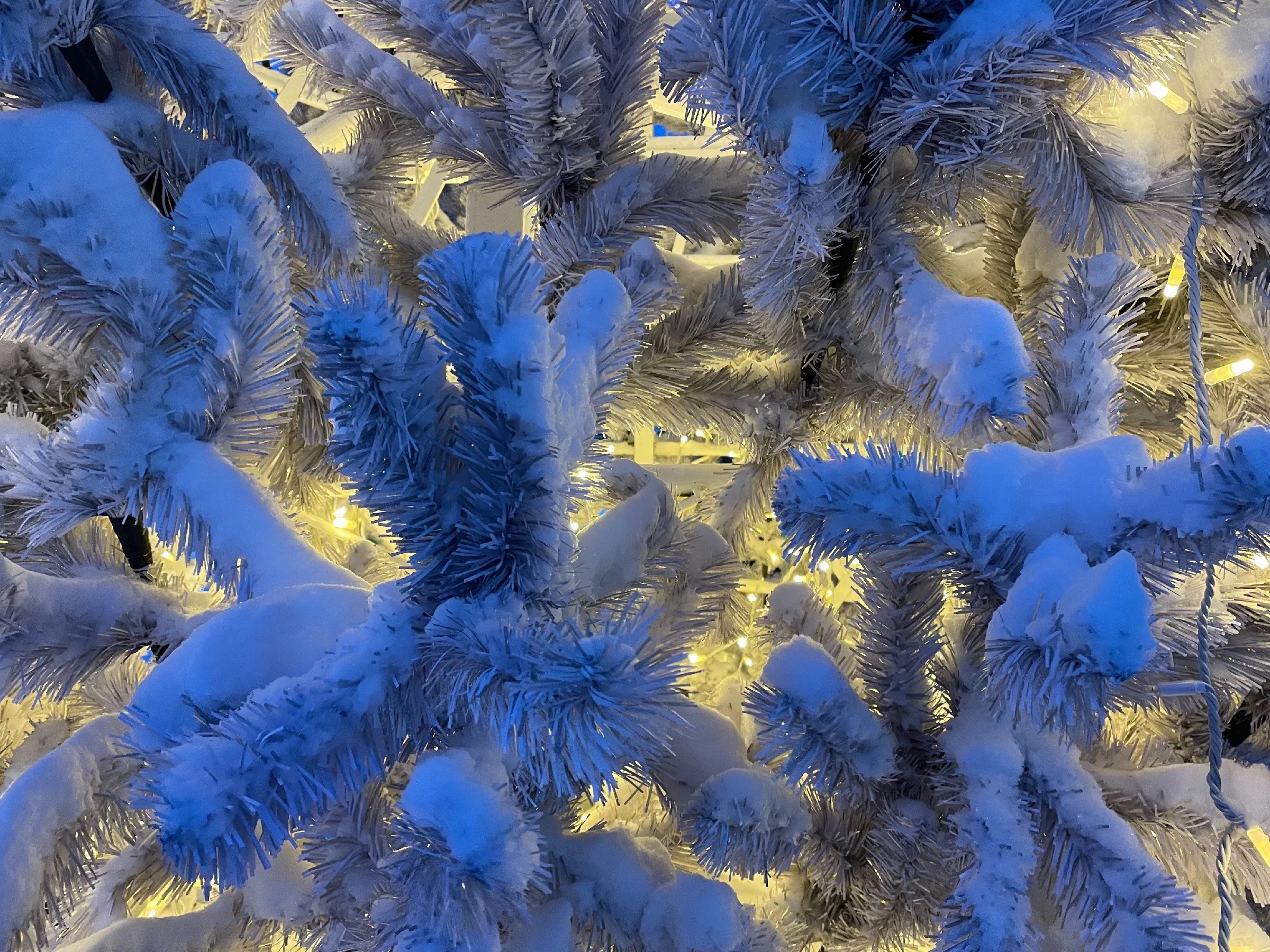 Зима в Пестовском парке Подмосковья: горки, горки и ёлки. Проект «Фотокладовка»: блог уличной фотографии в формате street photo