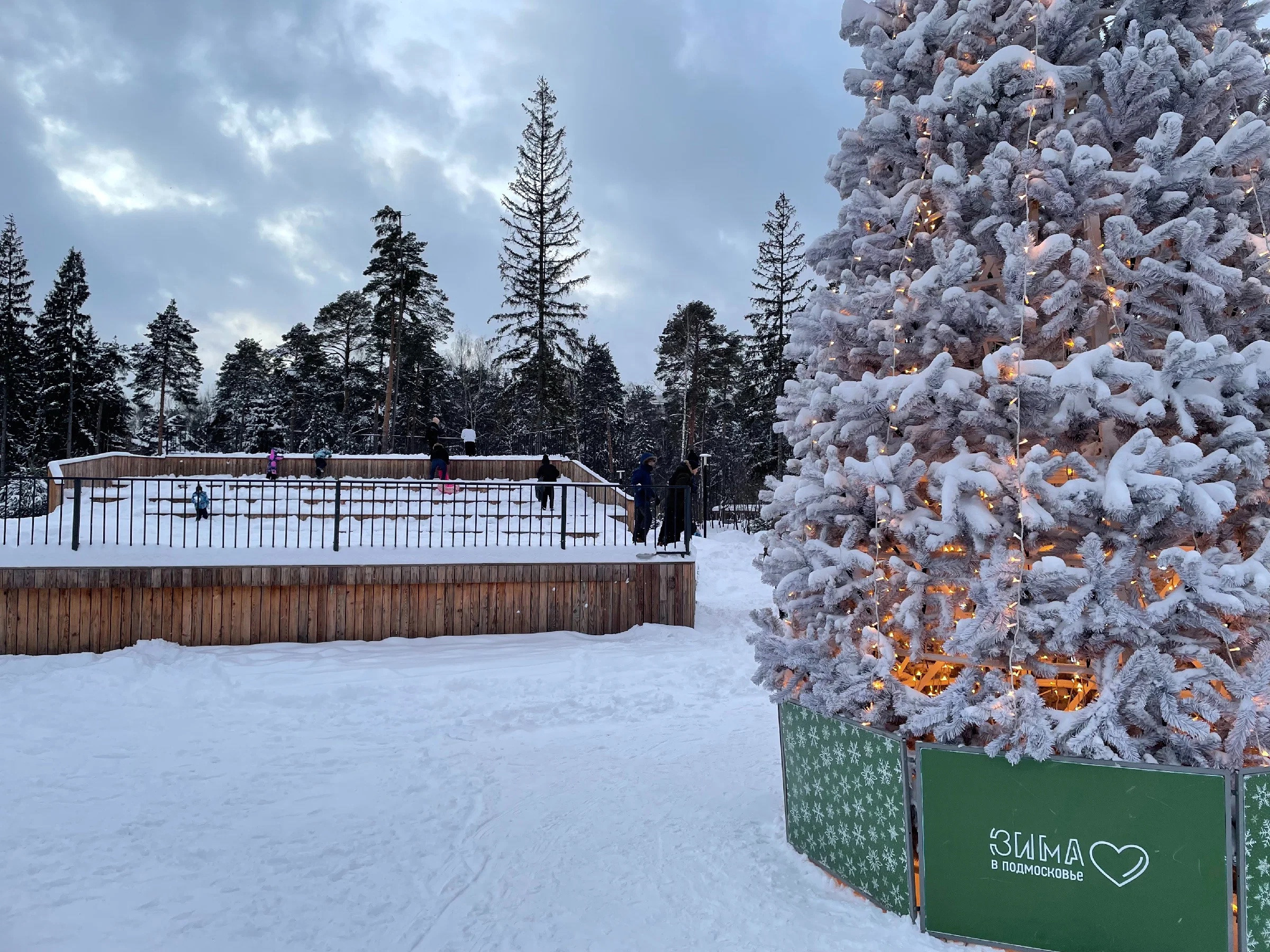 Зима в Пестовском парке Подмосковья: горки, горки и ёлки. Проект «Фотокладовка»: блог уличной фотографии в формате street photo