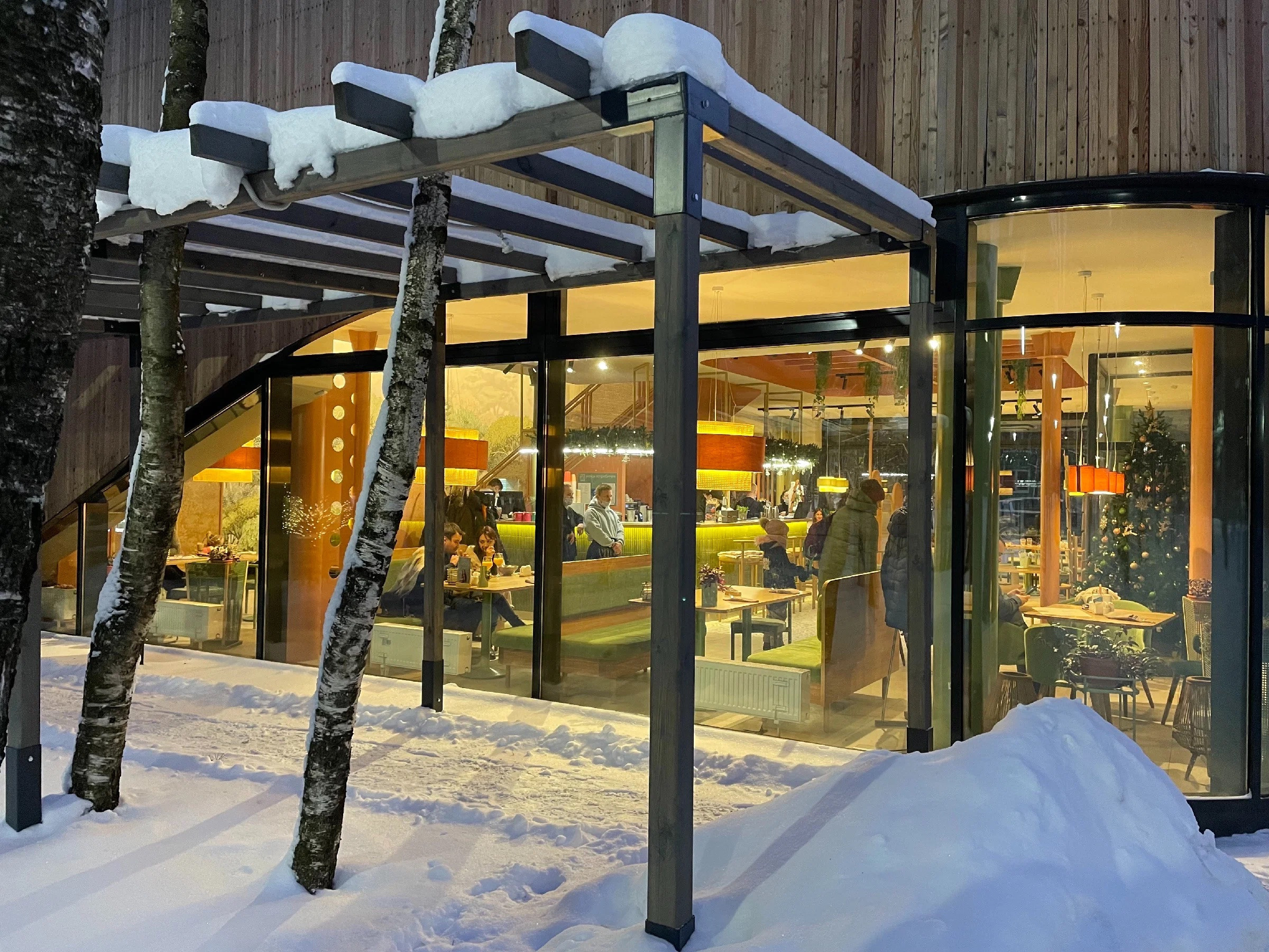 Зима в Пестовском парке Подмосковья: горки, горки и ёлки. Проект «Фотокладовка»: блог уличной фотографии в формате street photo