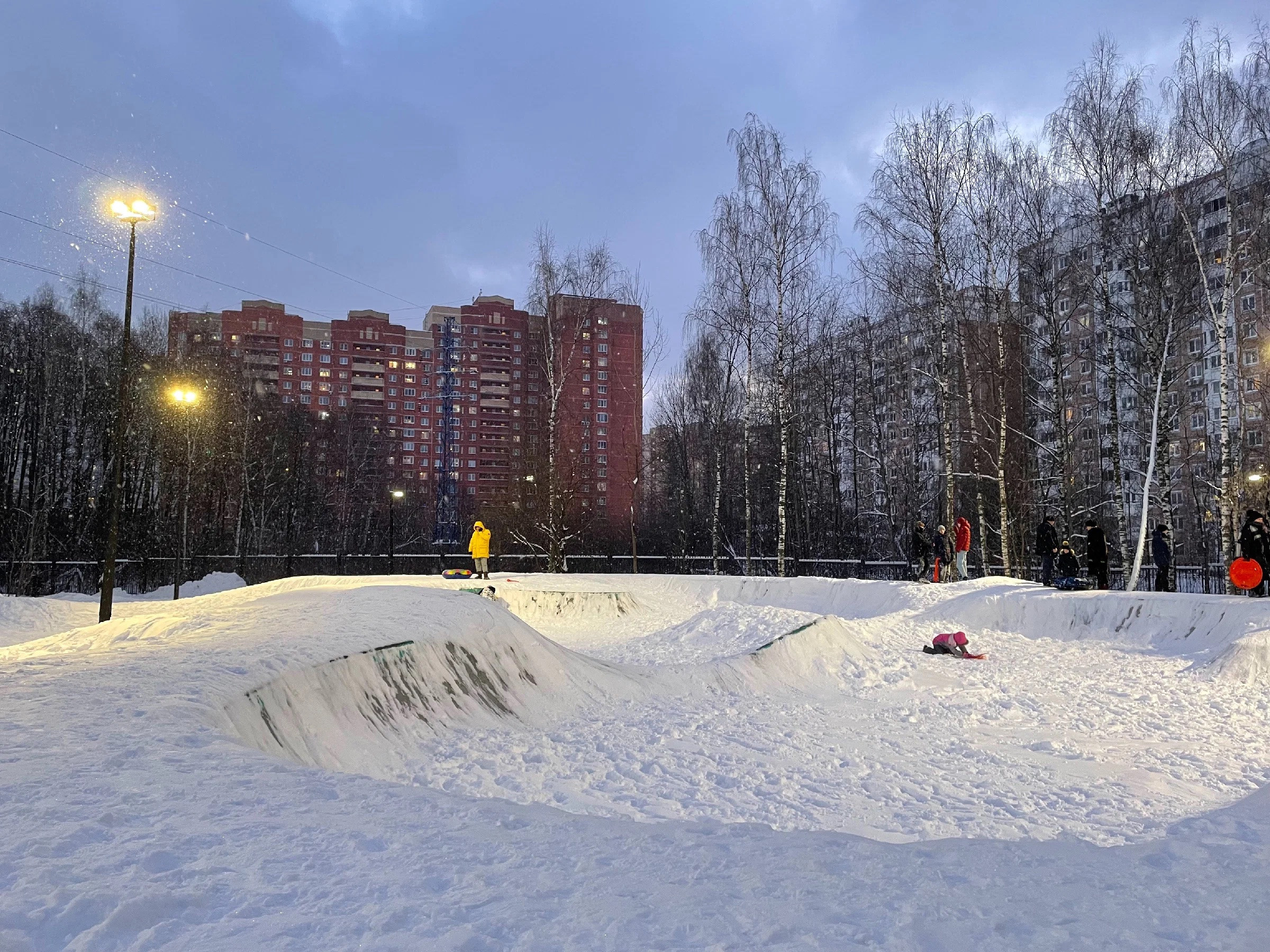 Зима в Пестовском парке Подмосковья: горки, горки и ёлки. Проект «Фотокладовка»: блог уличной фотографии в формате street photo