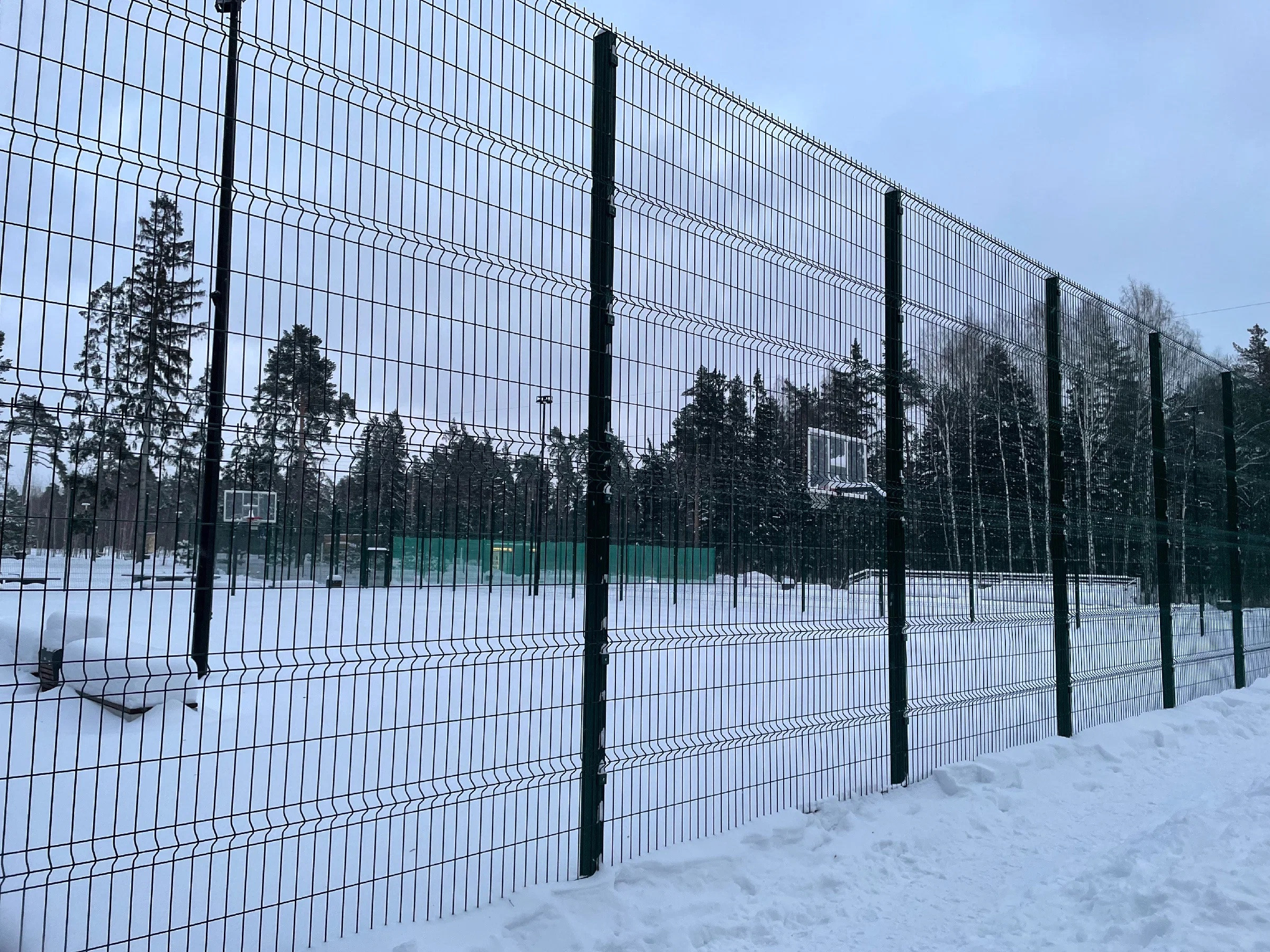 Зима в Пестовском парке Подмосковья: горки, горки и ёлки. Проект «Фотокладовка»: блог уличной фотографии в формате street photo
