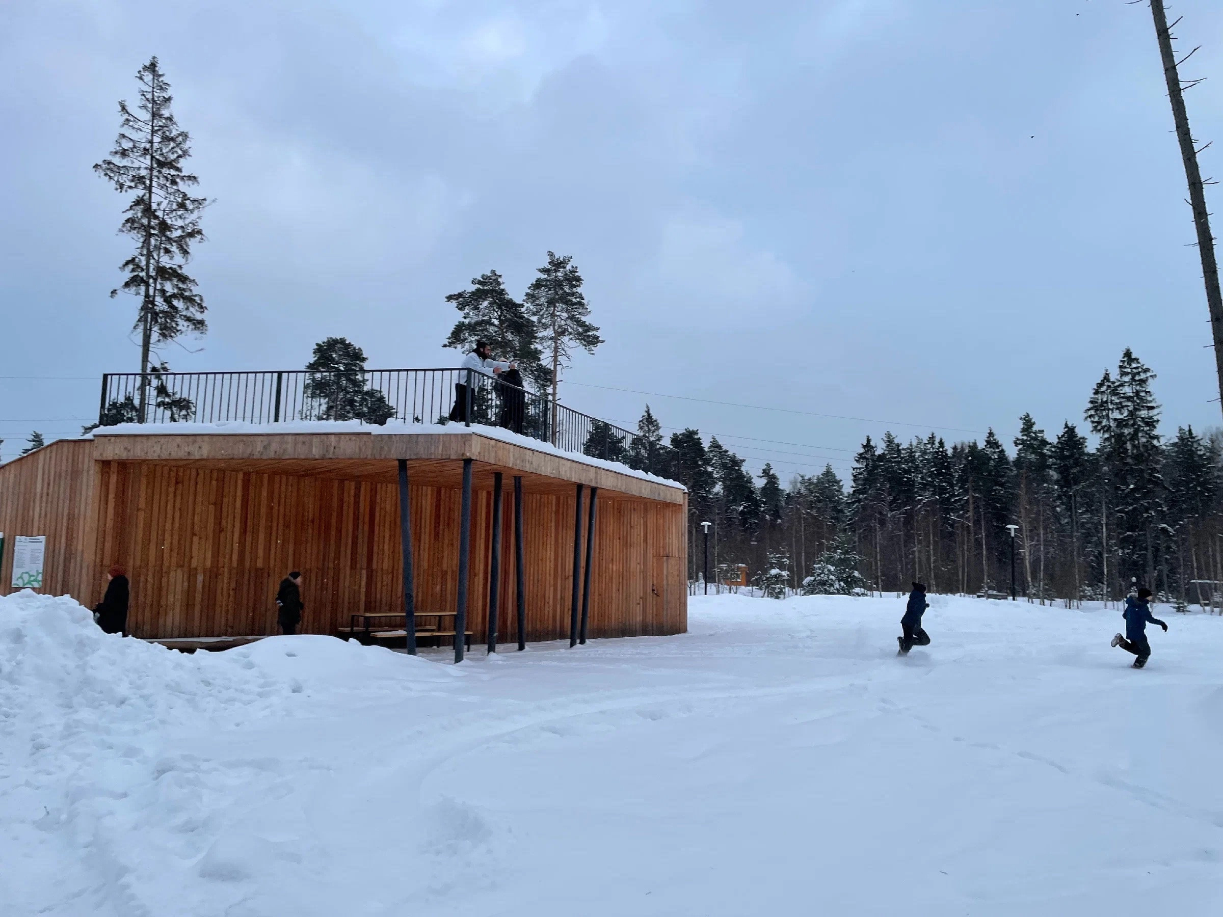 Зима в Пестовском парке Подмосковья: горки, горки и ёлки. Проект «Фотокладовка»: блог уличной фотографии в формате street photo