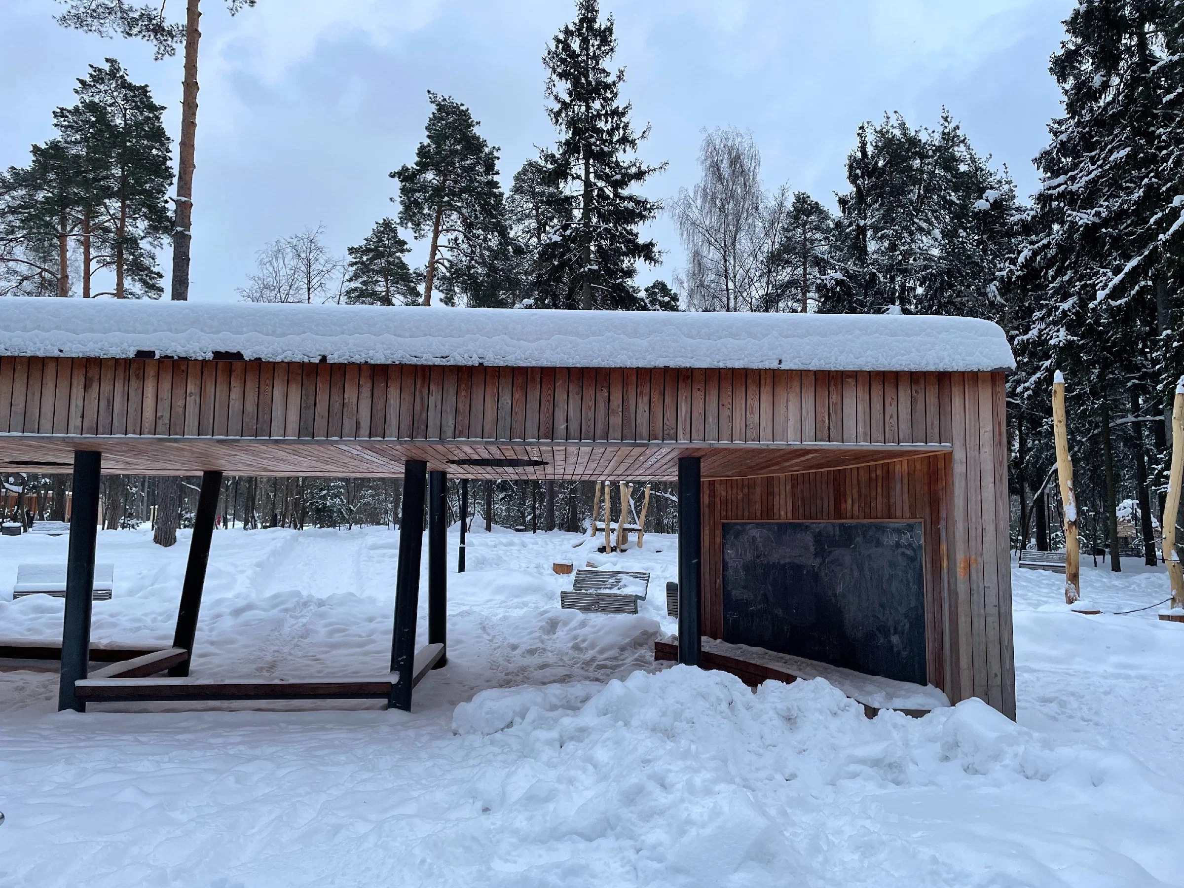 Зима в Пестовском парке Подмосковья: горки, горки и ёлки. Проект «Фотокладовка»: блог уличной фотографии в формате street photo