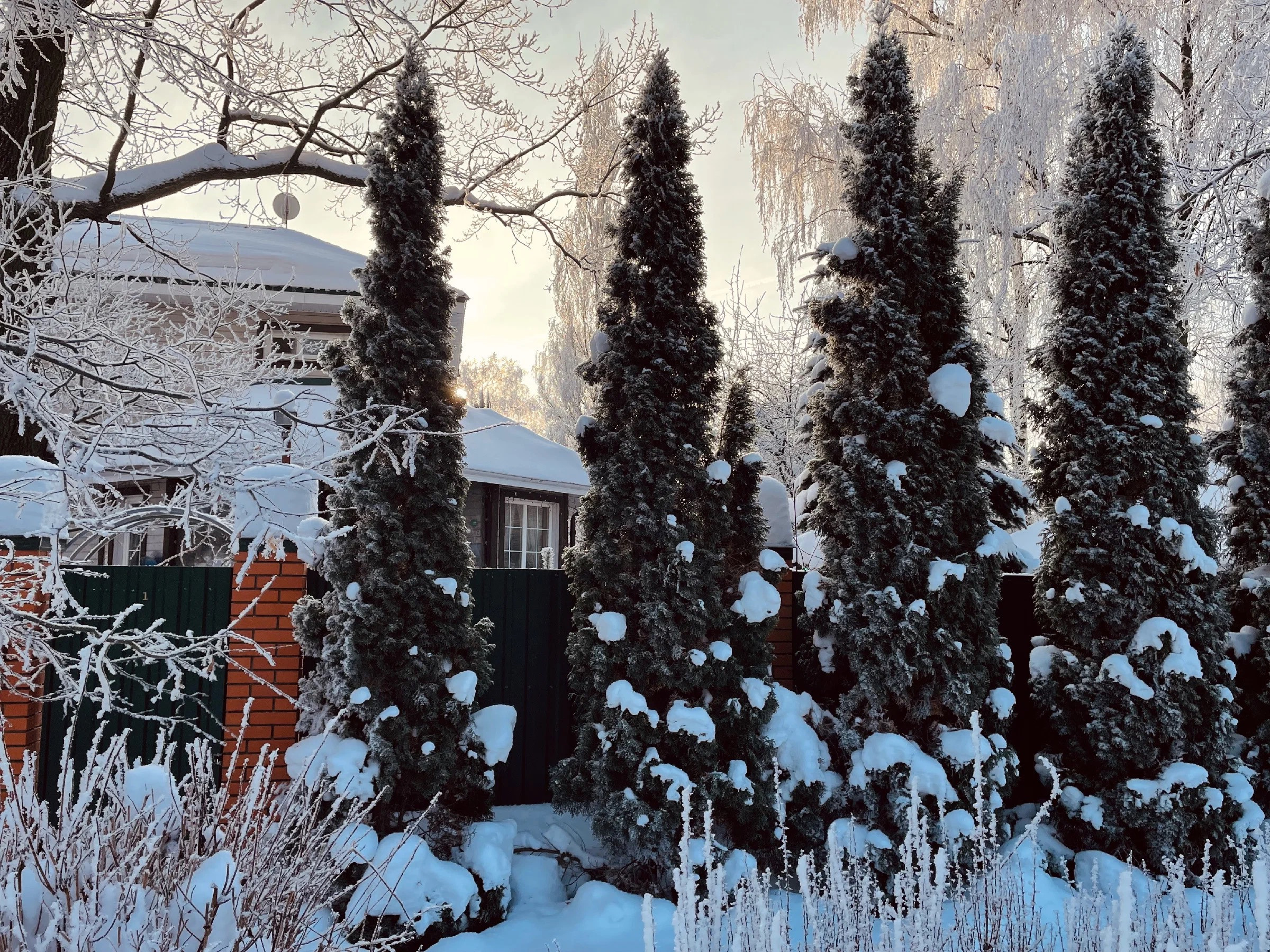 Снежная морозная фотопрогулка в преддверии Нового года. Проект «Фотокладовка»: блог уличной фотографии в формате street photo