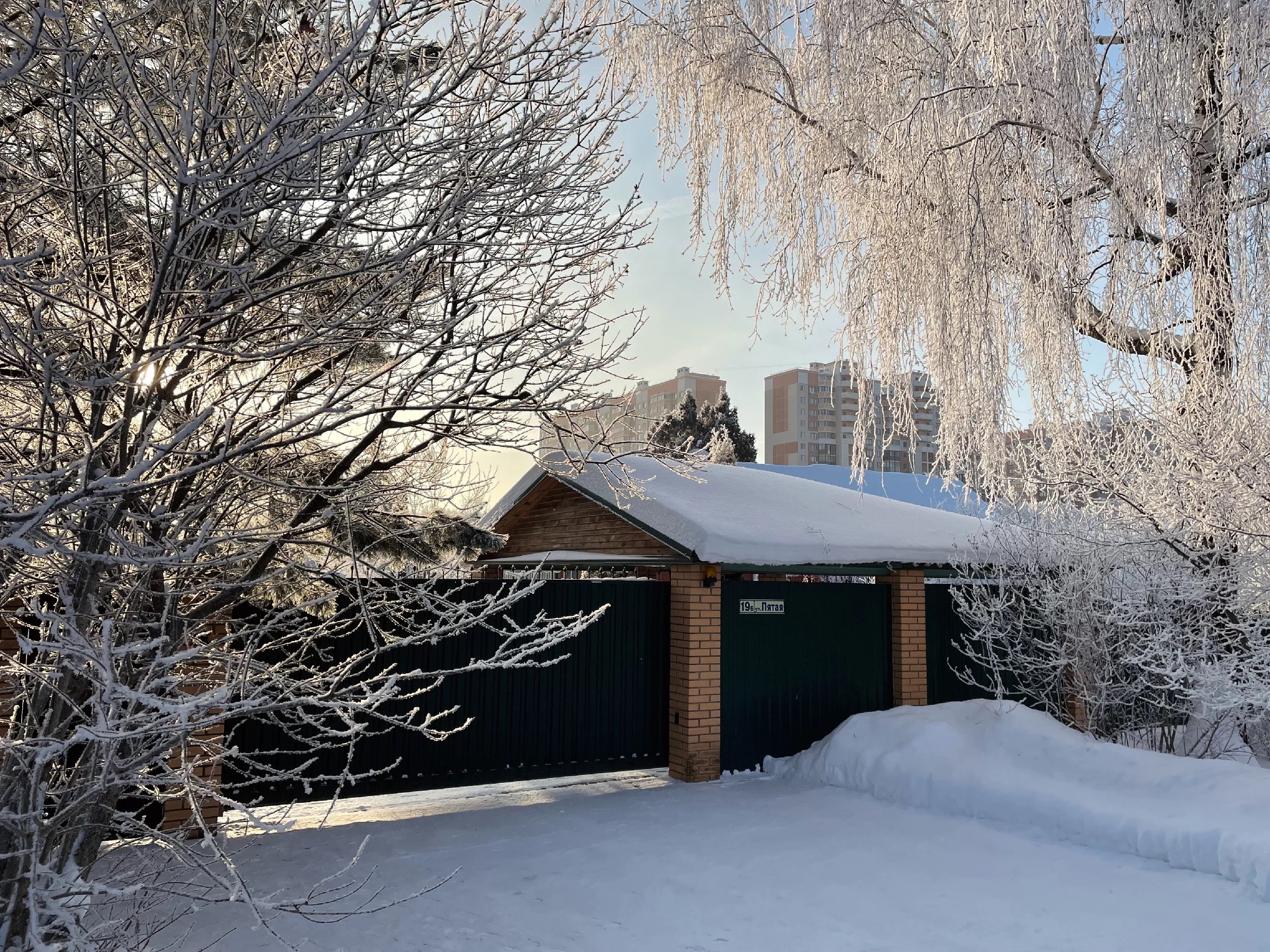 Снежная морозная фотопрогулка в преддверии Нового года. Проект «Фотокладовка»: блог уличной фотографии в формате street photo