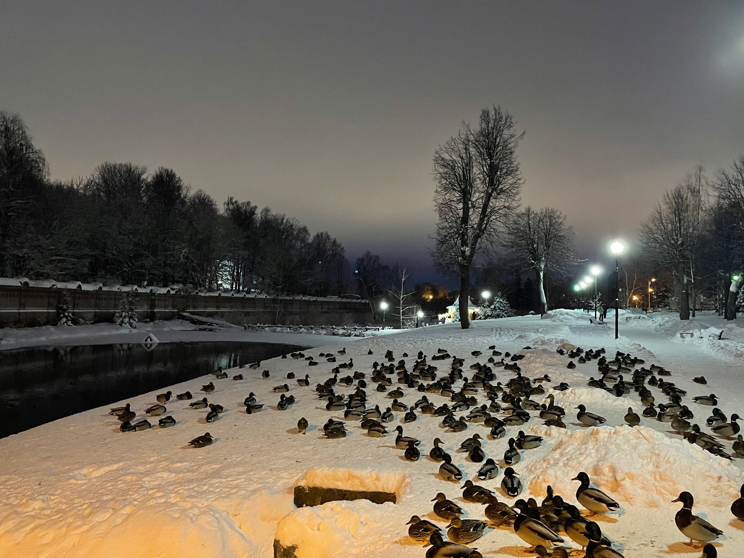 Пришвинские места: парк «Скитские пруды» + Черниговcкий скит. Проект «Фотокладовка»: блог уличной фотографии в формате street photo