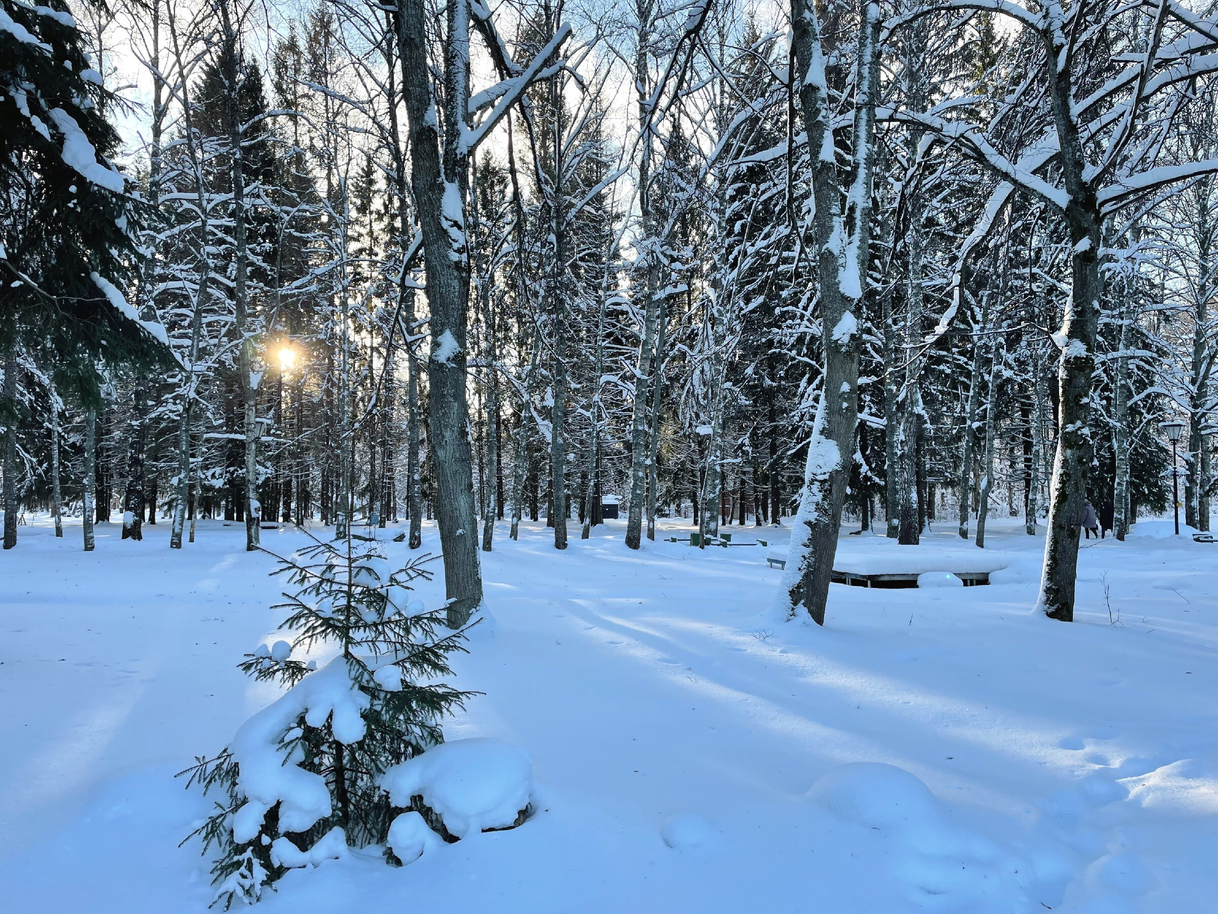 Переславль-Залесский: происхождение названия и что здесь делал Петр I. Проект «Фотокладовка»: блог уличной фотографии в формате street photo