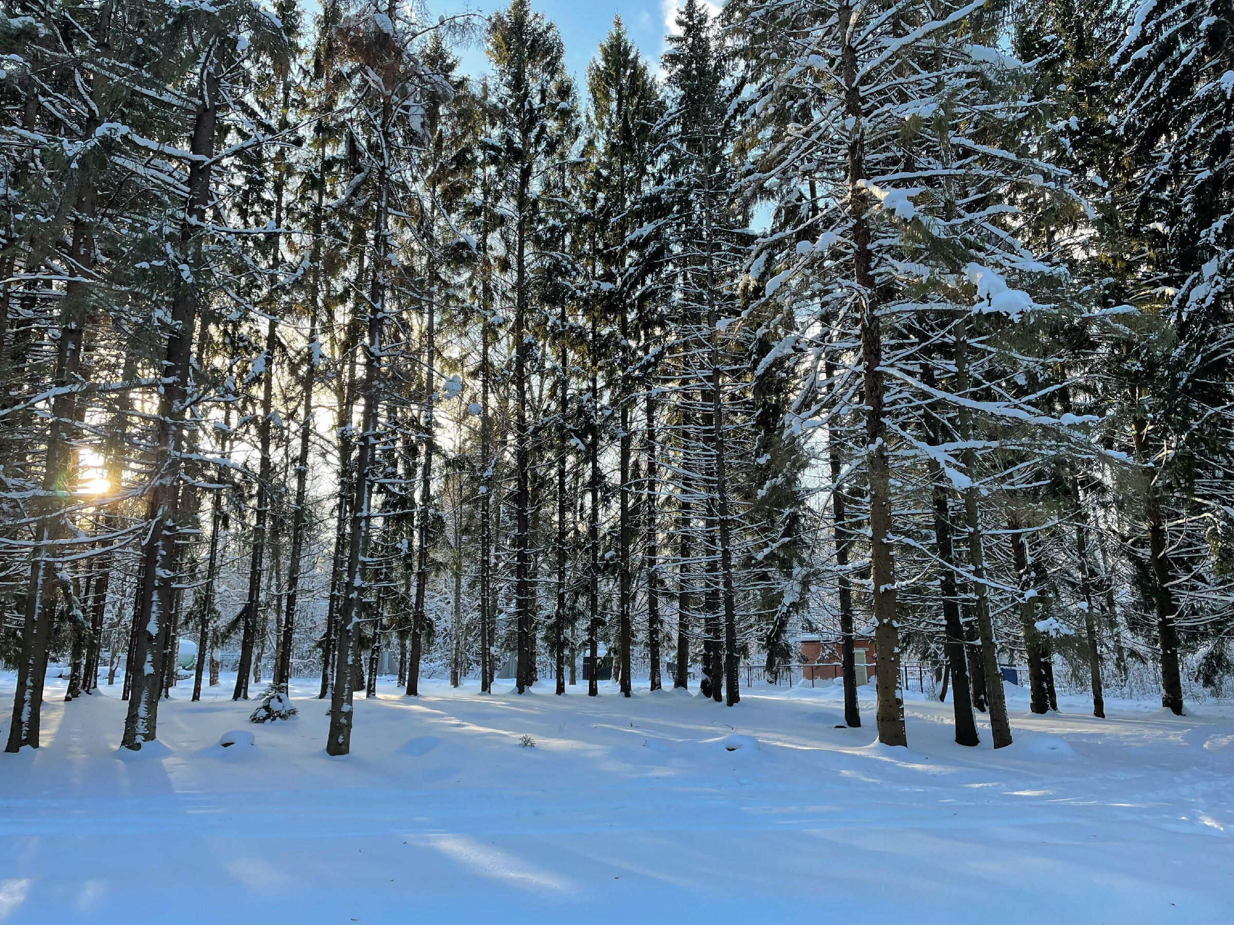 Переславль-Залесский: происхождение названия и что здесь делал Петр I. Проект «Фотокладовка»: блог уличной фотографии в формате street photo