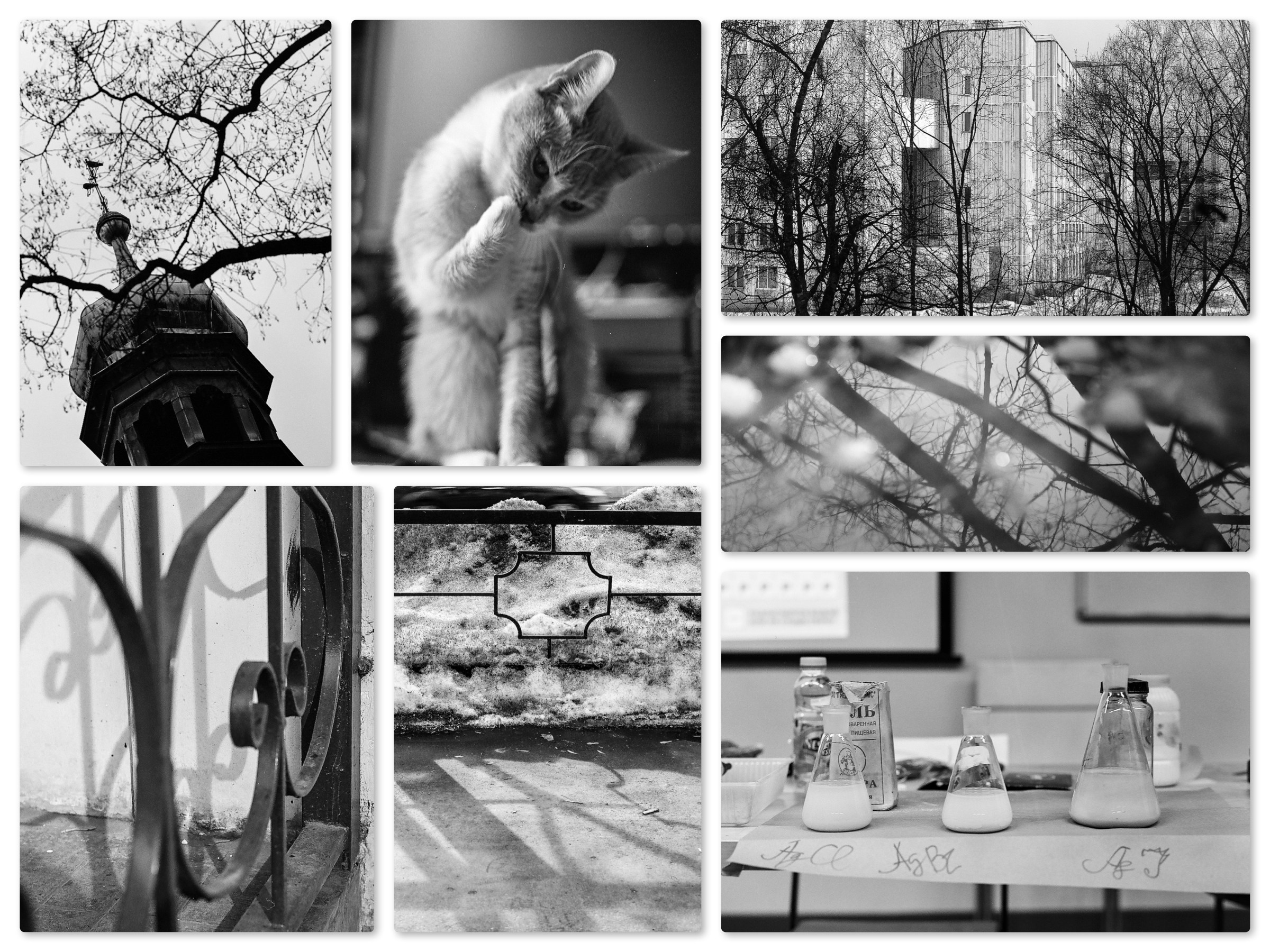 Фотопрогулки или про фотографии, сделанные или собранные клиентами. Фотограф в Москве Ольга Олейникова