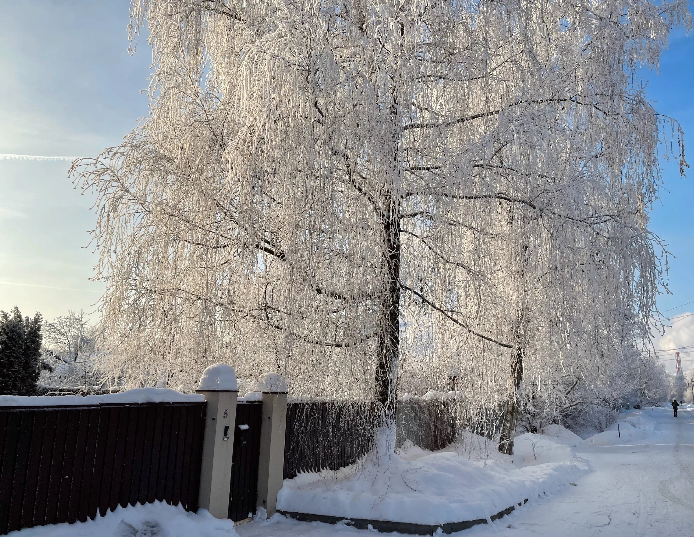 Снежная морозная фотопрогулка в преддверии Нового года. Проект «Фотокладовка»: блог уличной фотографии в формате street photo