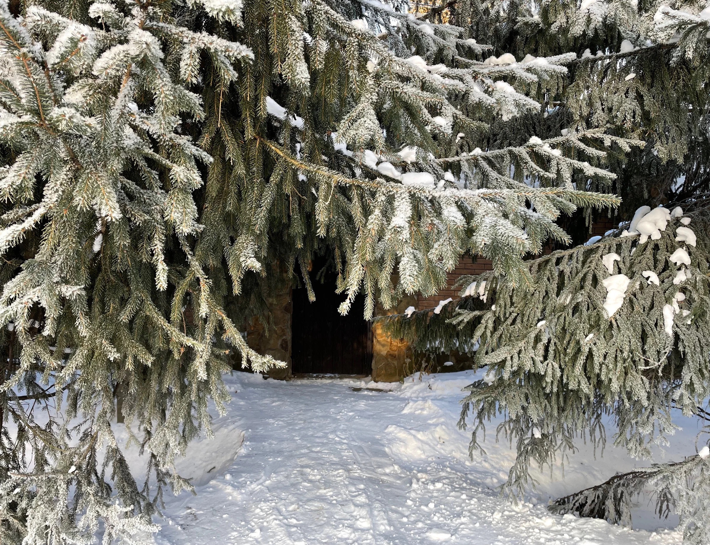 Снежная морозная фотопрогулка в преддверии Нового года. Проект «Фотокладовка»: блог уличной фотографии в формате street photo