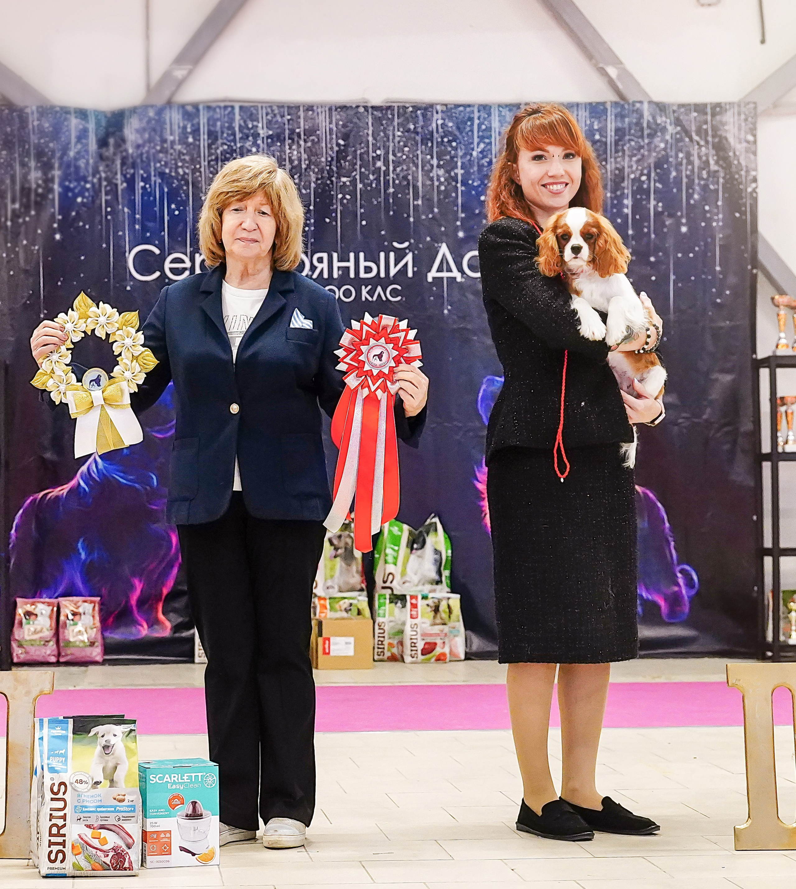 Выставки. Питомник кавалер кинг чарльз спаниелей