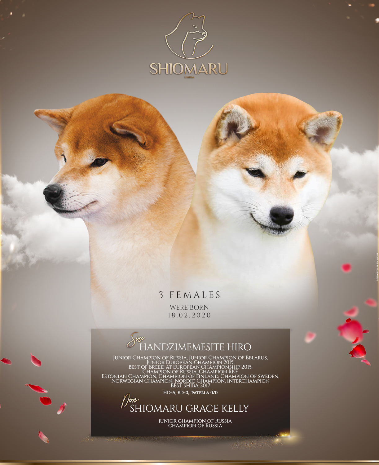 LITTERS. SHIOMARU Shiba and Akita Inu Kennel