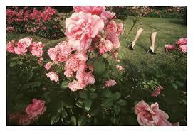 Модные фотографии. Выпускные альбомы, фотограф Денис Зимин в городе Ростове-на-Дону