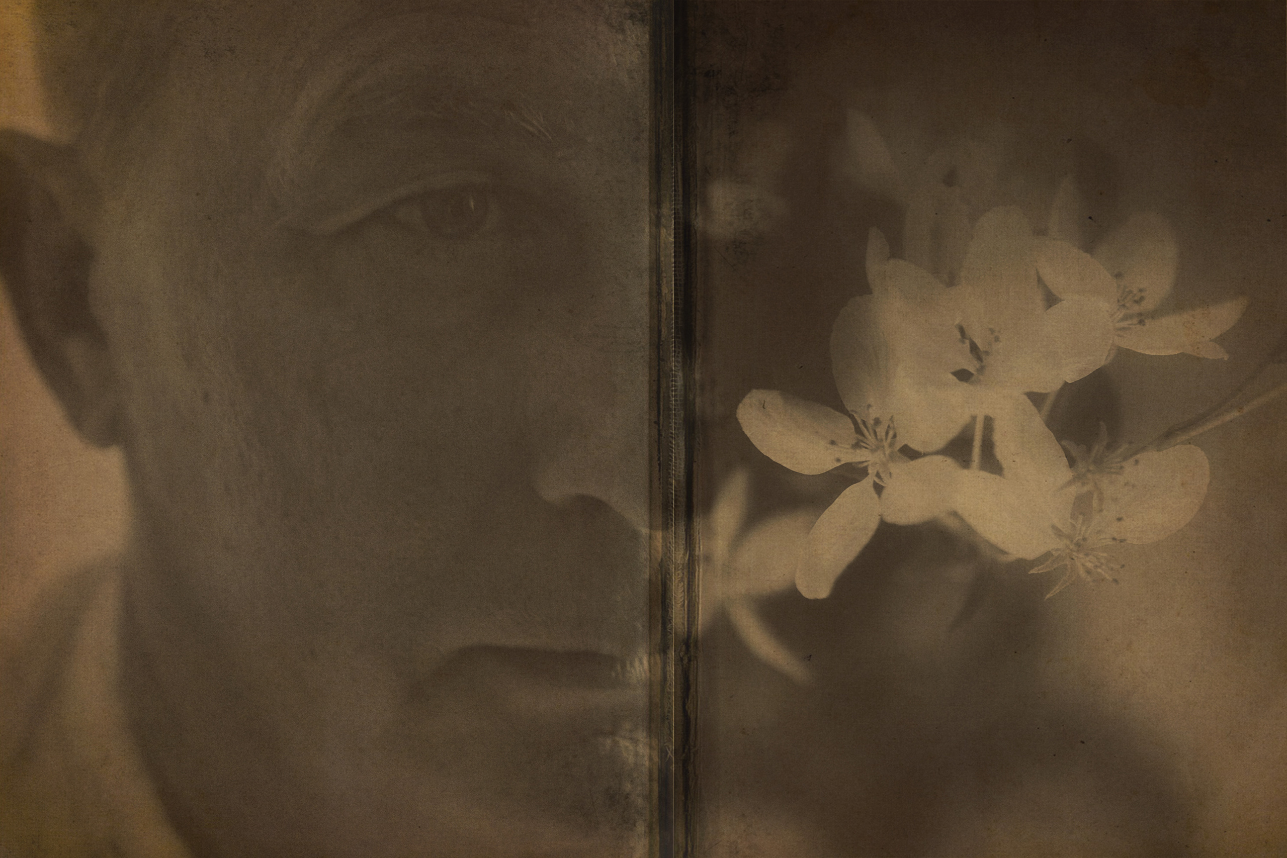 Свадебный проект «РОМЕО И ДЖУЛЬЕТТА». Фотограф в Омске Екатерина Павлова