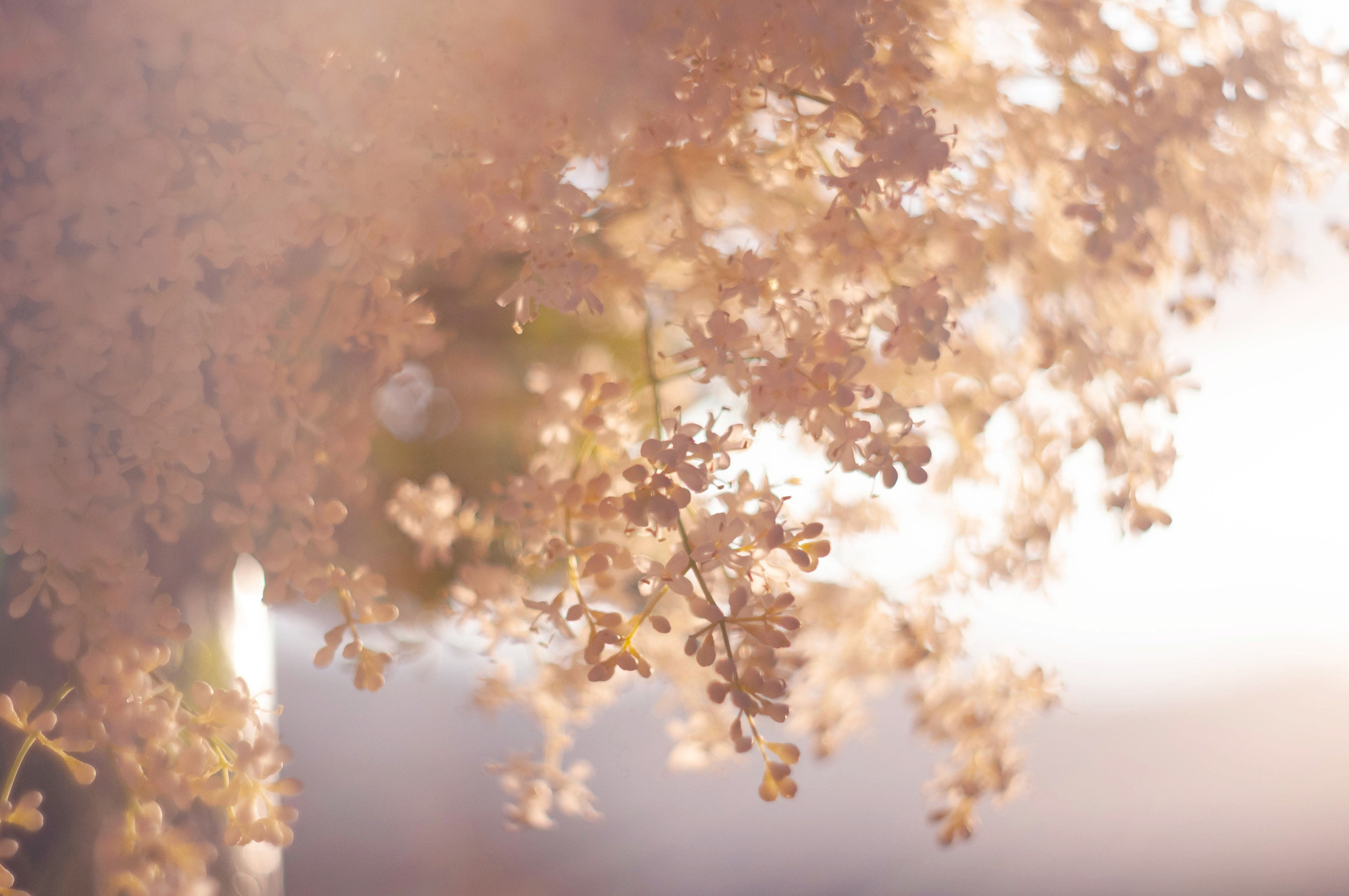 Женские портреты. Портретный фотограф в республике Алтай Юлия Шевченко