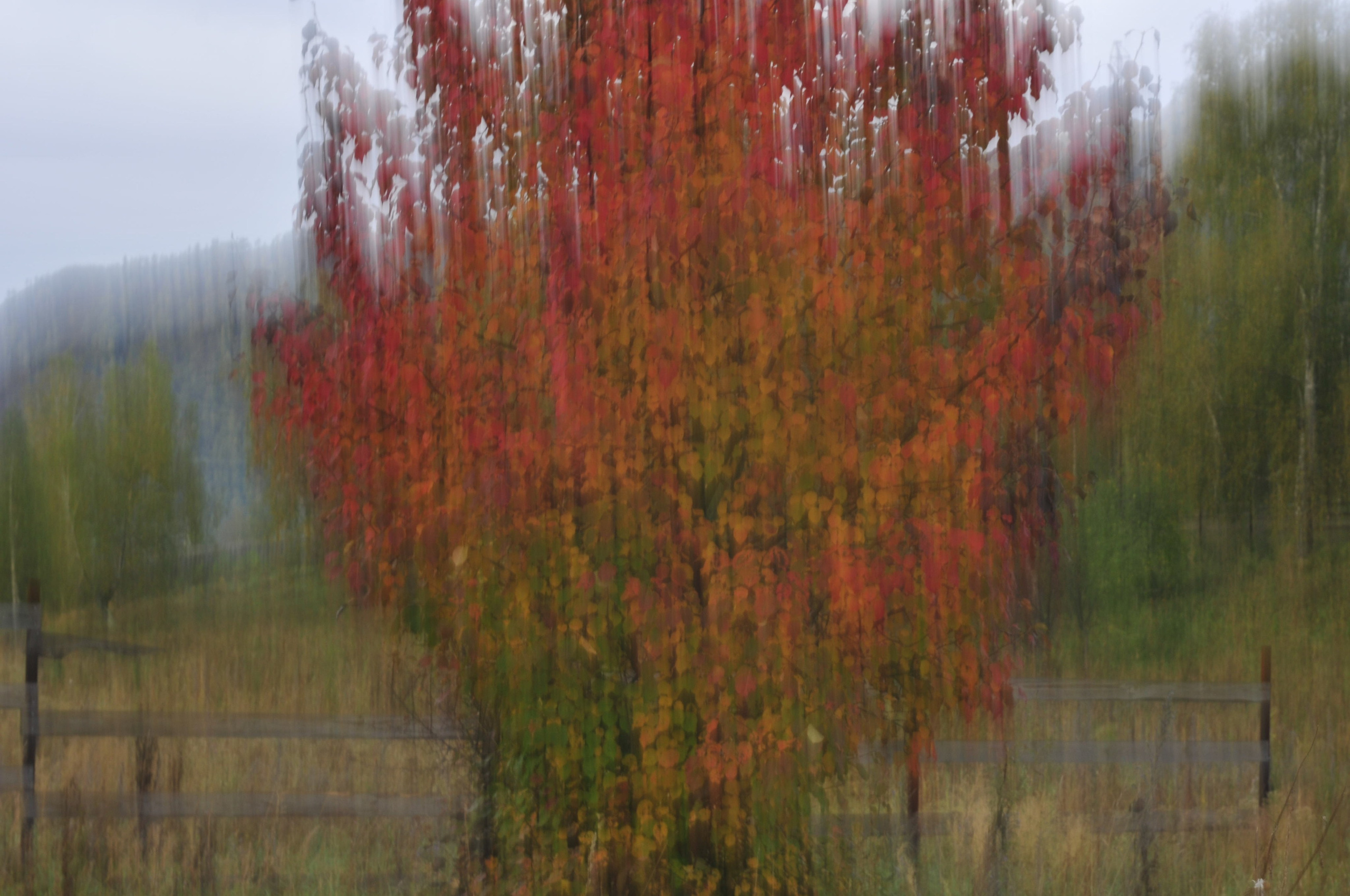 Женские портреты. Портретный фотограф в республике Алтай Юлия Шевченко