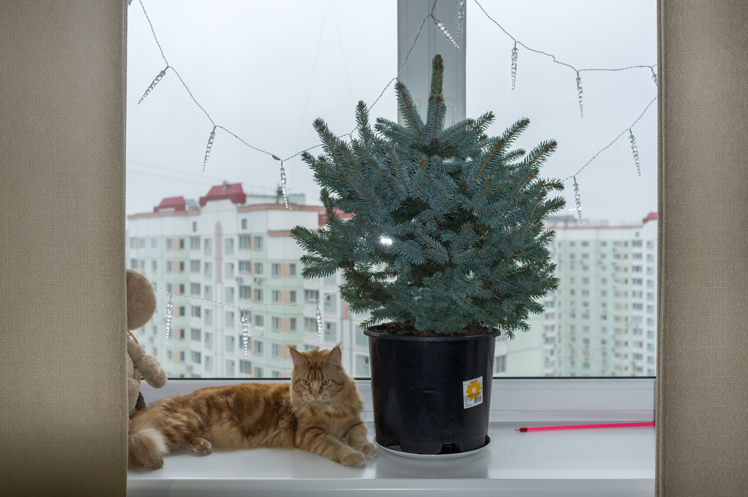 День 29 #адвенткалендарь. OLGA OLEYNIKOVA Пространство, люди, смыслы