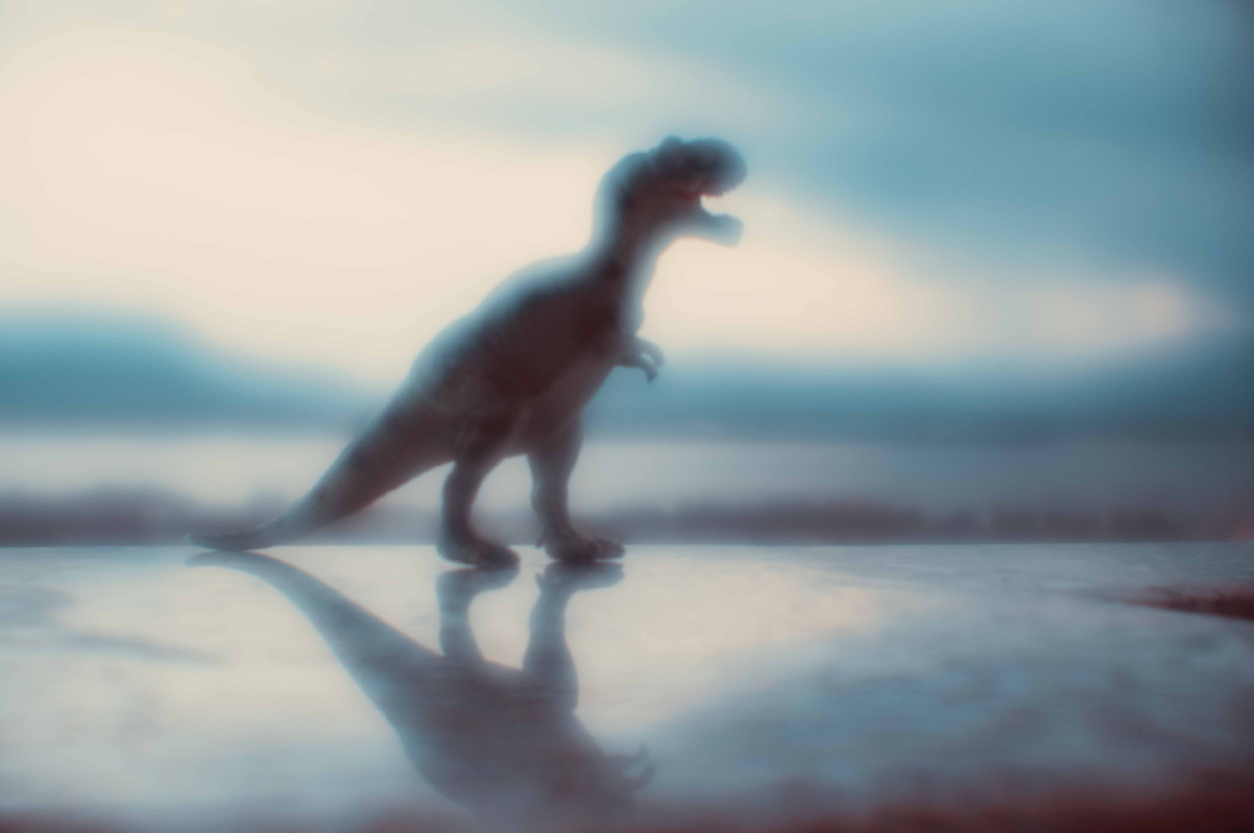 MINIMALISTIC LANDSCAPES. International visual artist