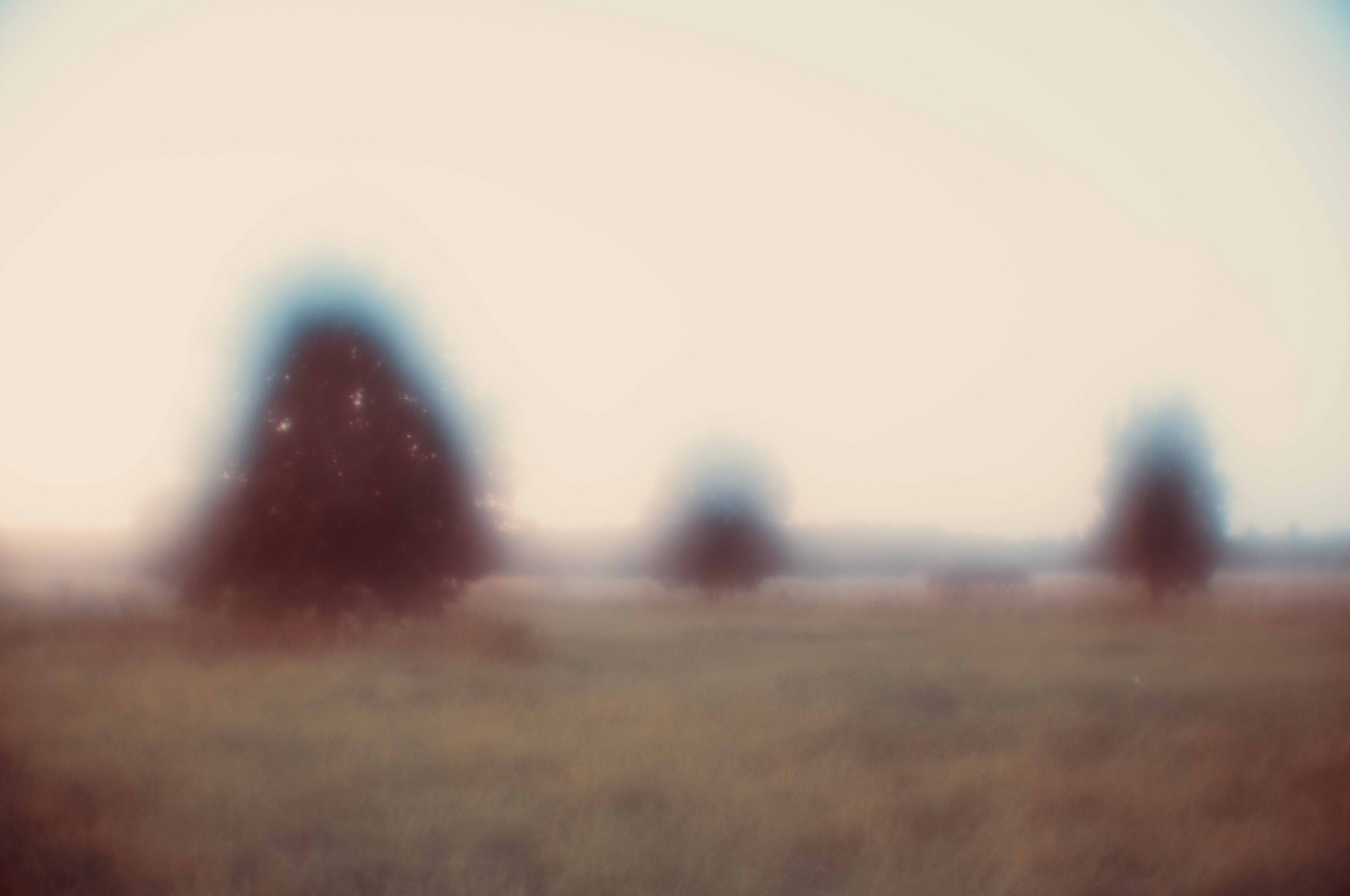 MINIMALISTIC LANDSCAPES. International visual artist