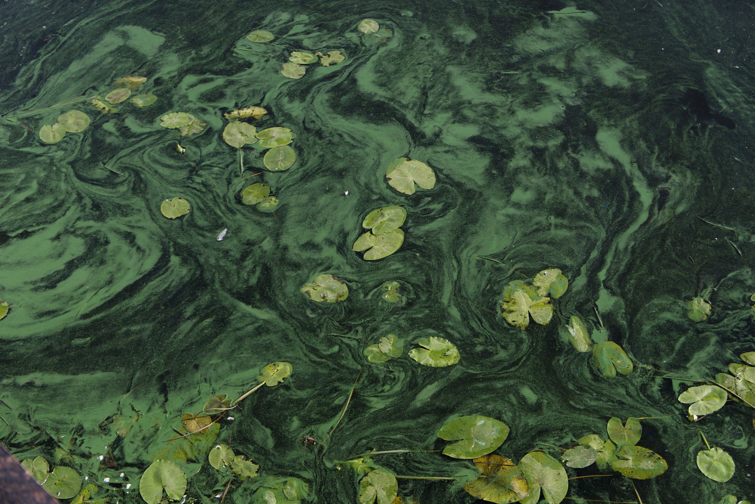 Анна Назарова — Под водой