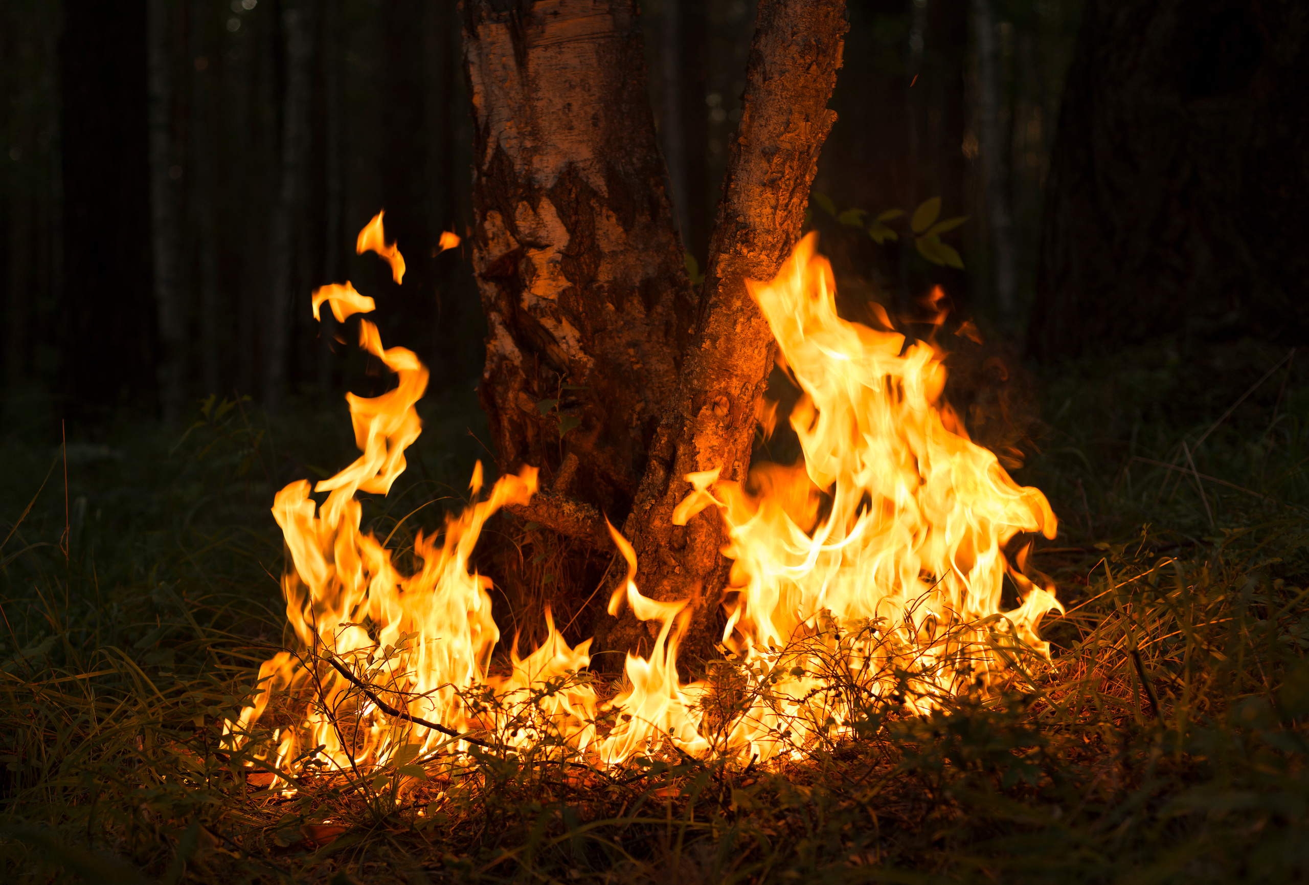 Дневник русалки. Plechinta Ekaterina documentary photographer